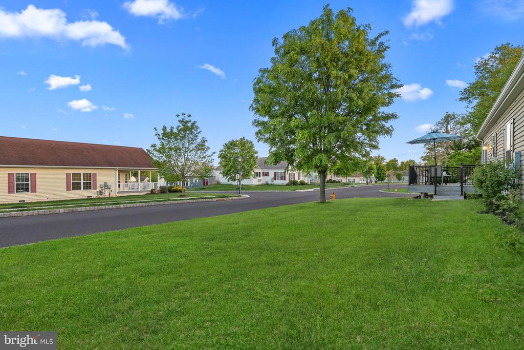 423 DELPHINIUM WAY