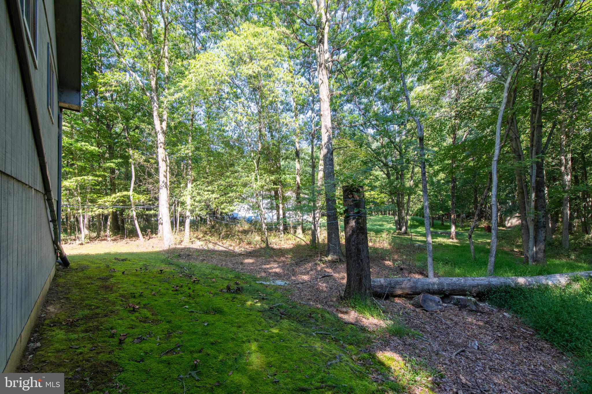 265 Squirrelwood COURT