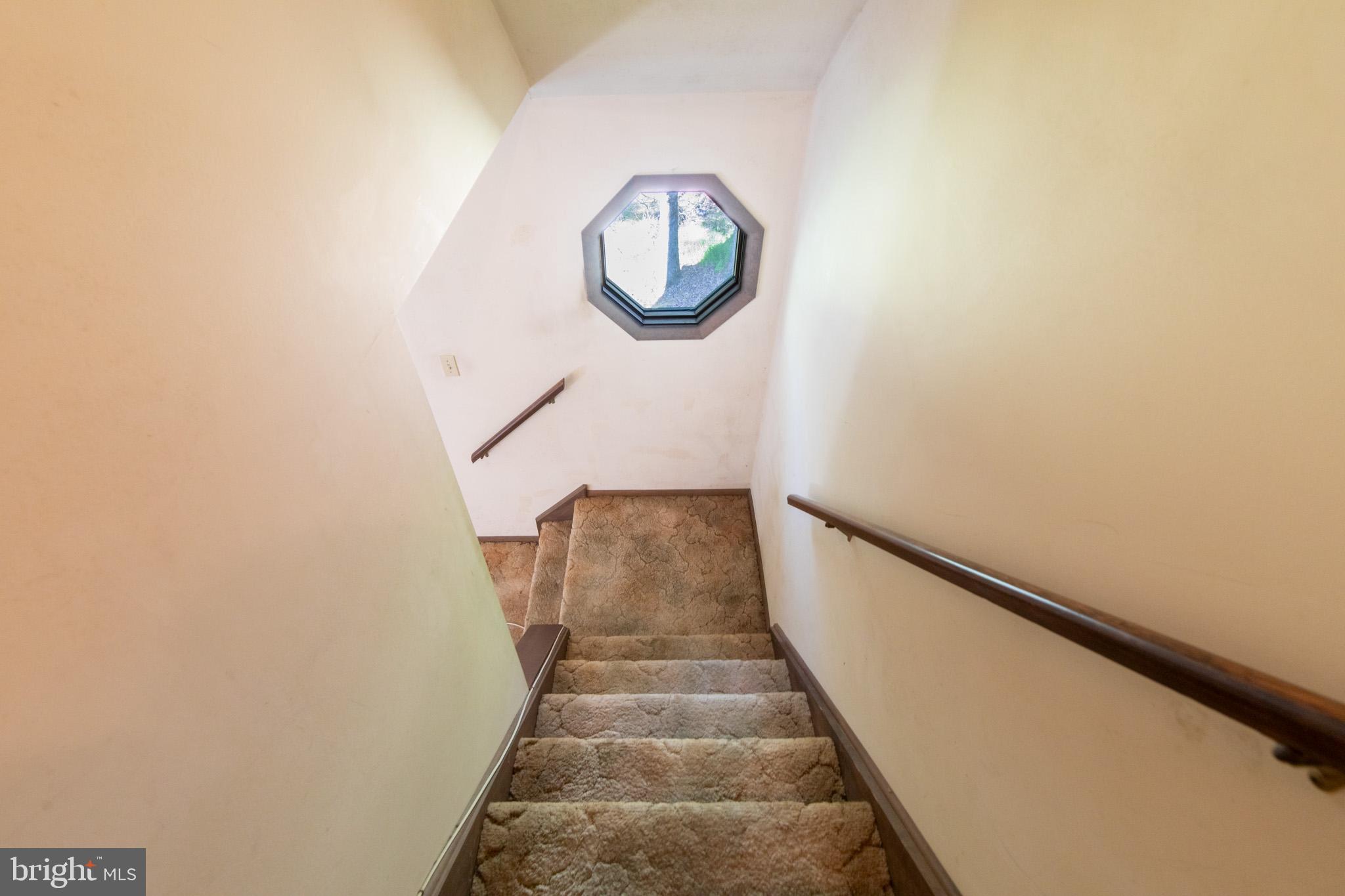 265 Squirrelwood COURT