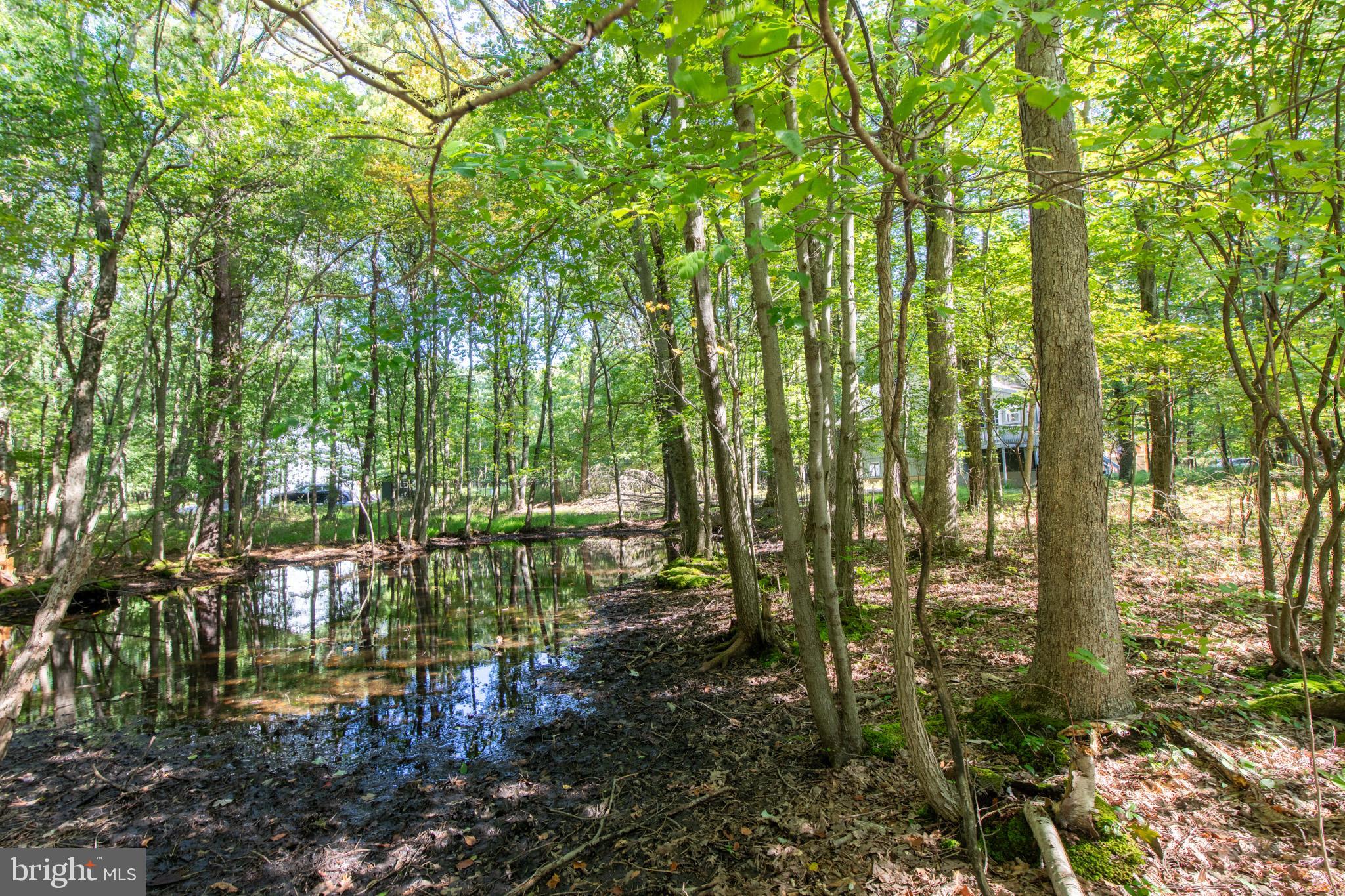 265 Squirrelwood COURT
