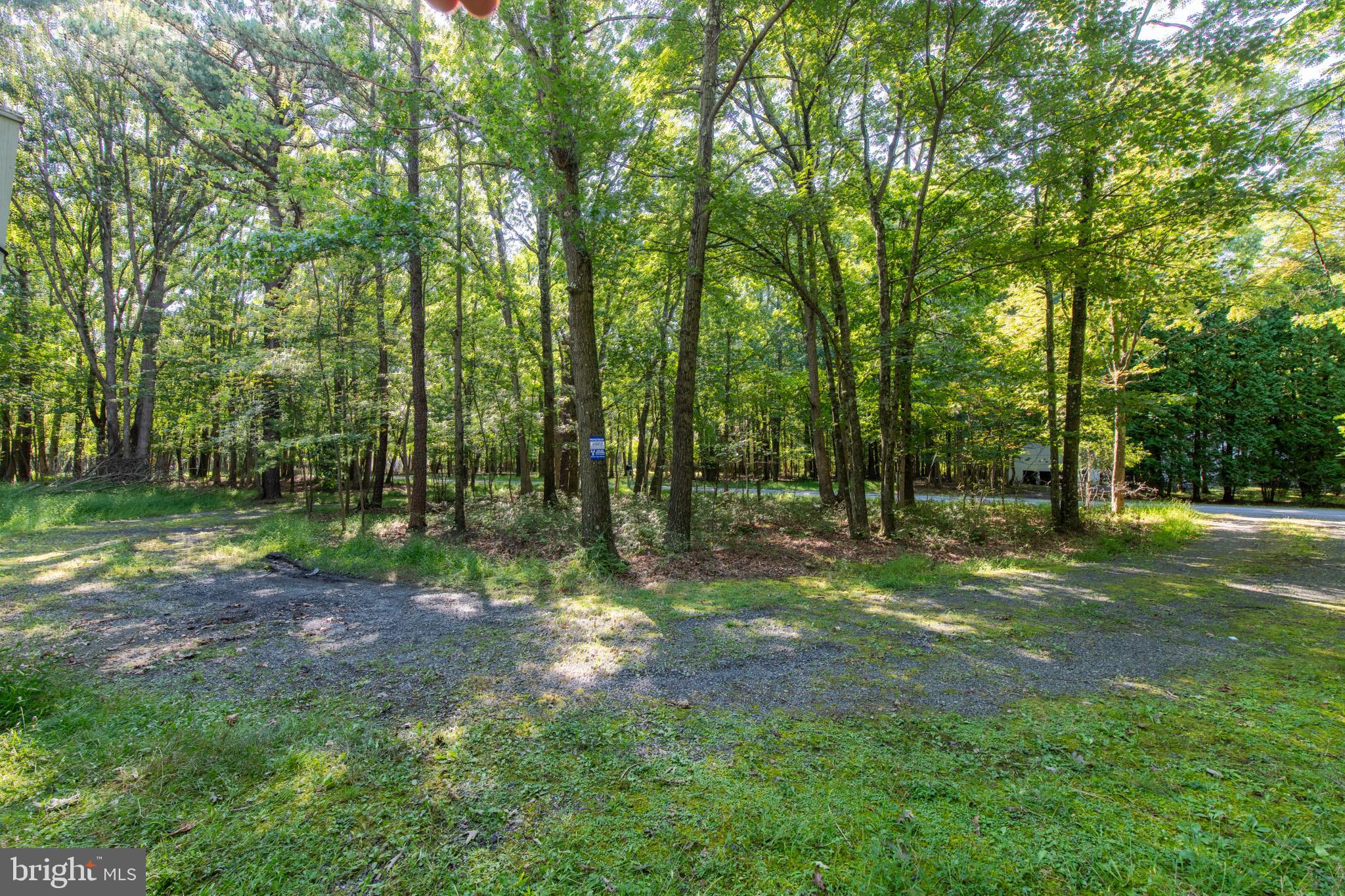 265 Squirrelwood COURT