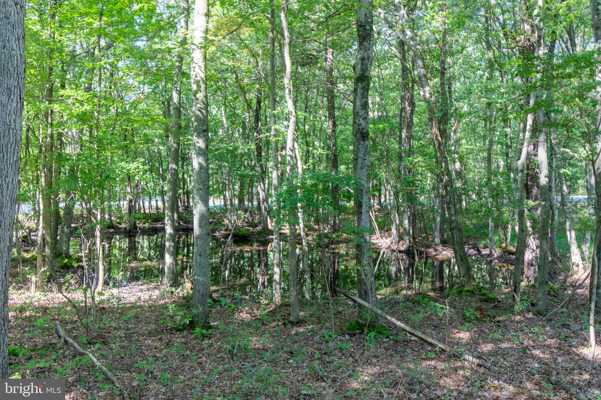 265 Squirrelwood COURT