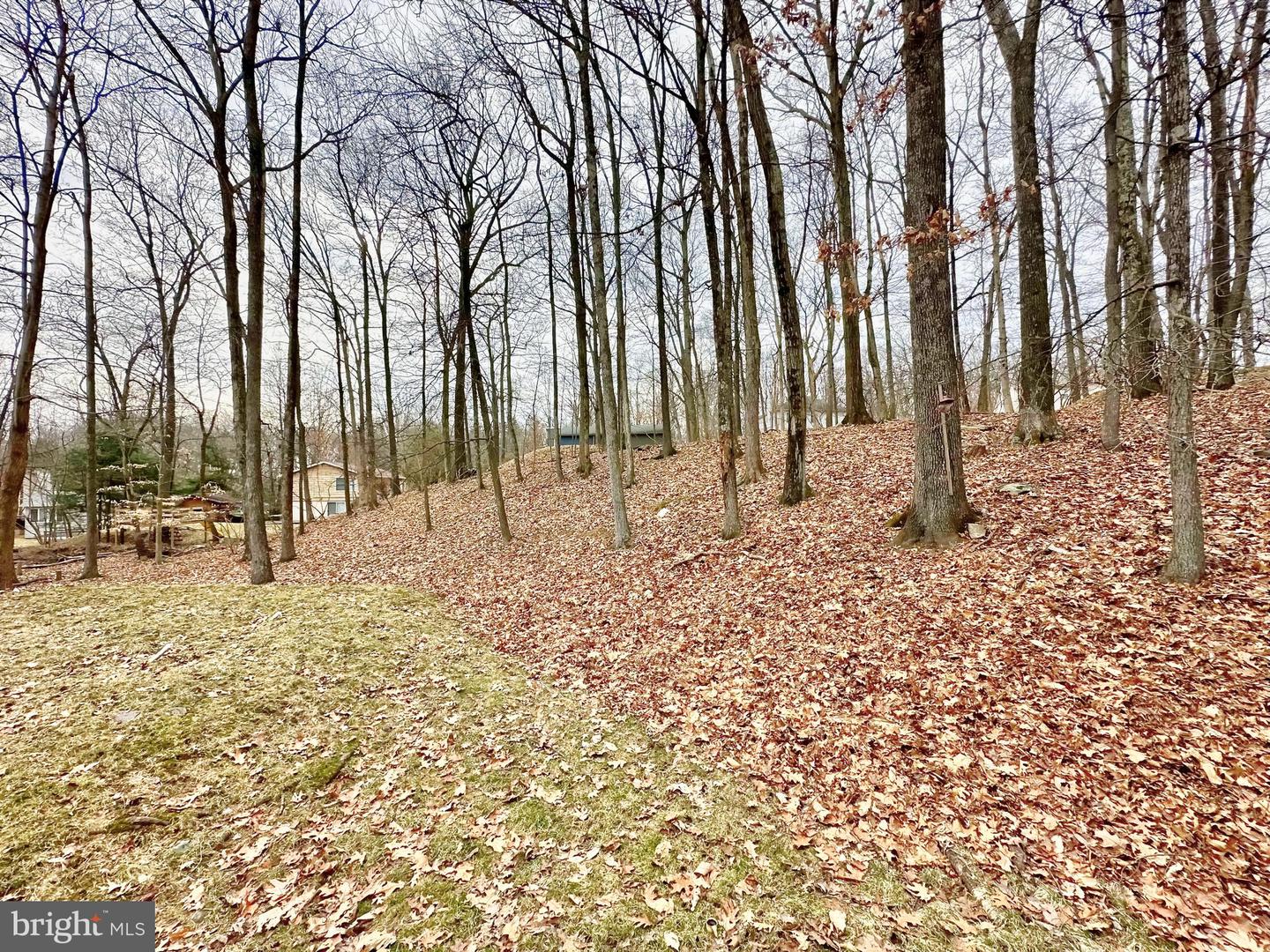 223 Footprint Rd