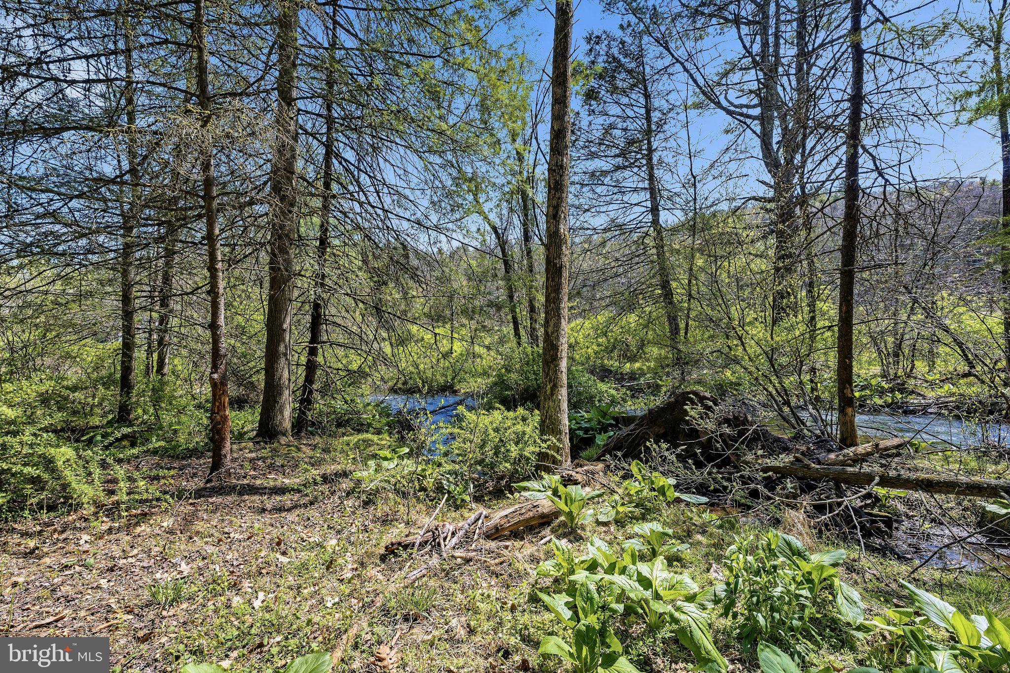 216 MERWINSBURG ROAD