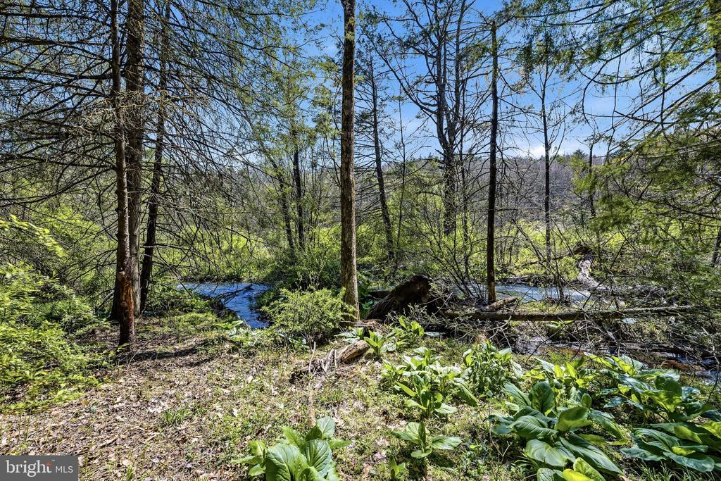 216 MERWINSBURG ROAD