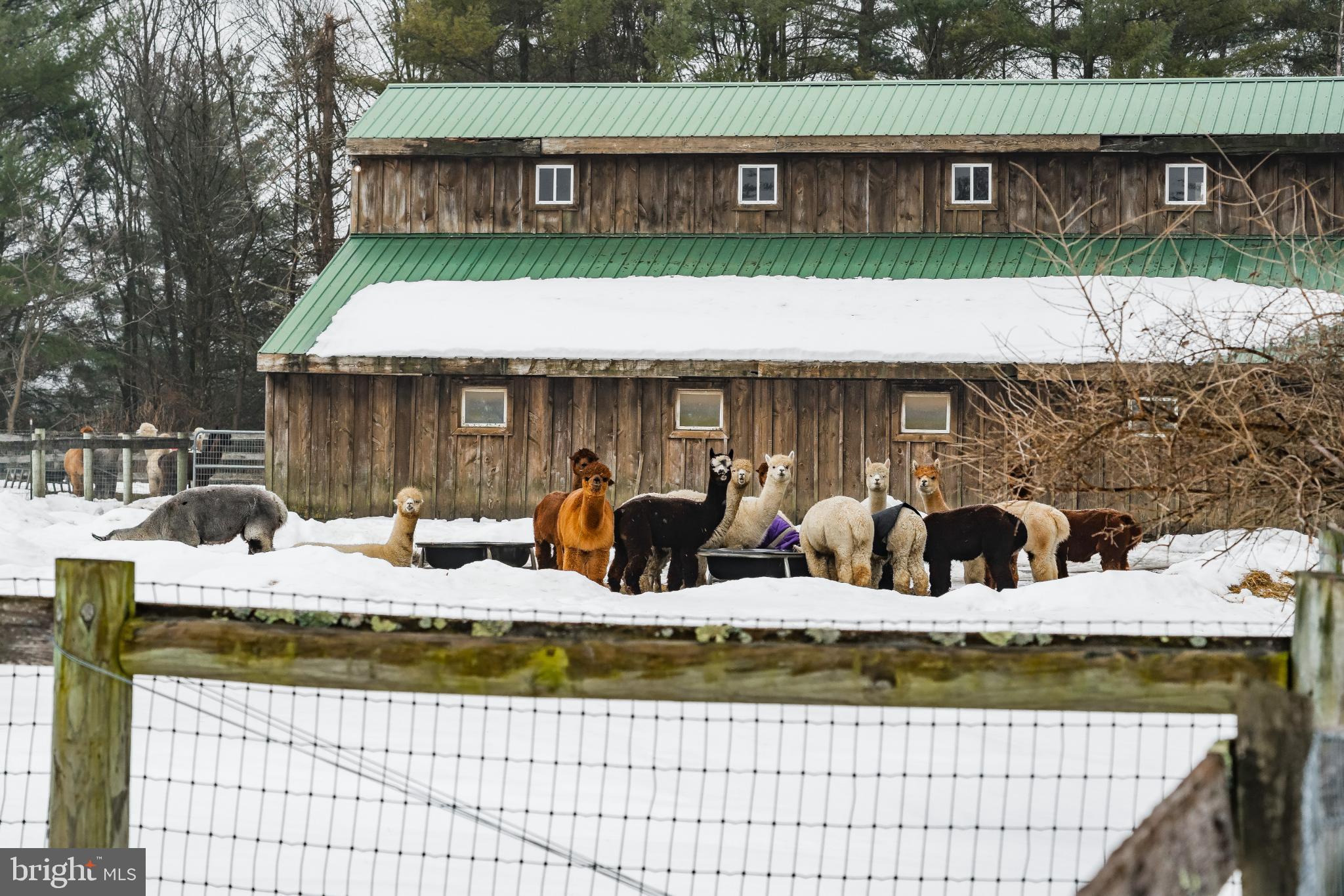 216 MERWINSBURG ROAD