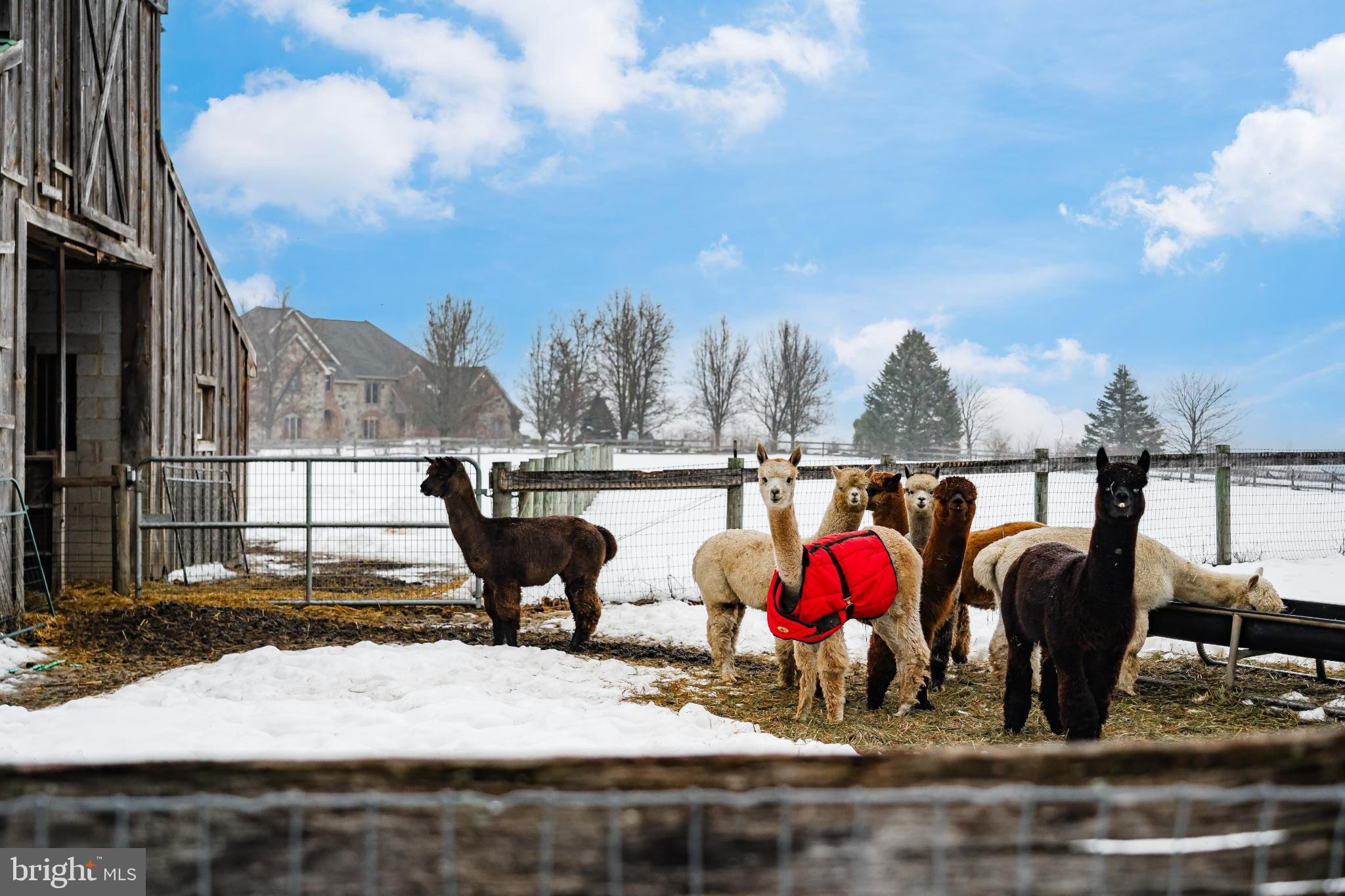 216 MERWINSBURG ROAD