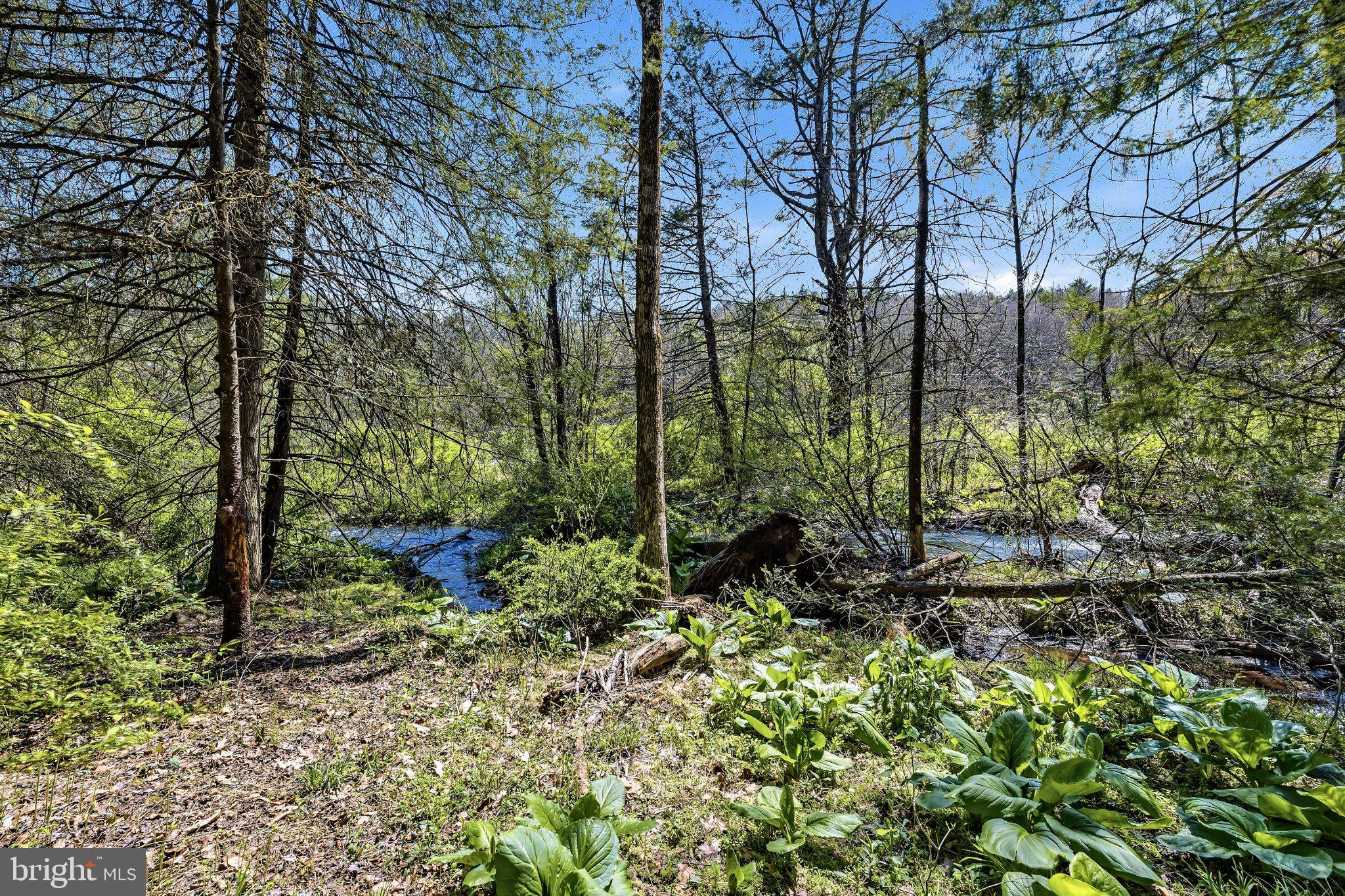 216 MERWINSBURG ROAD