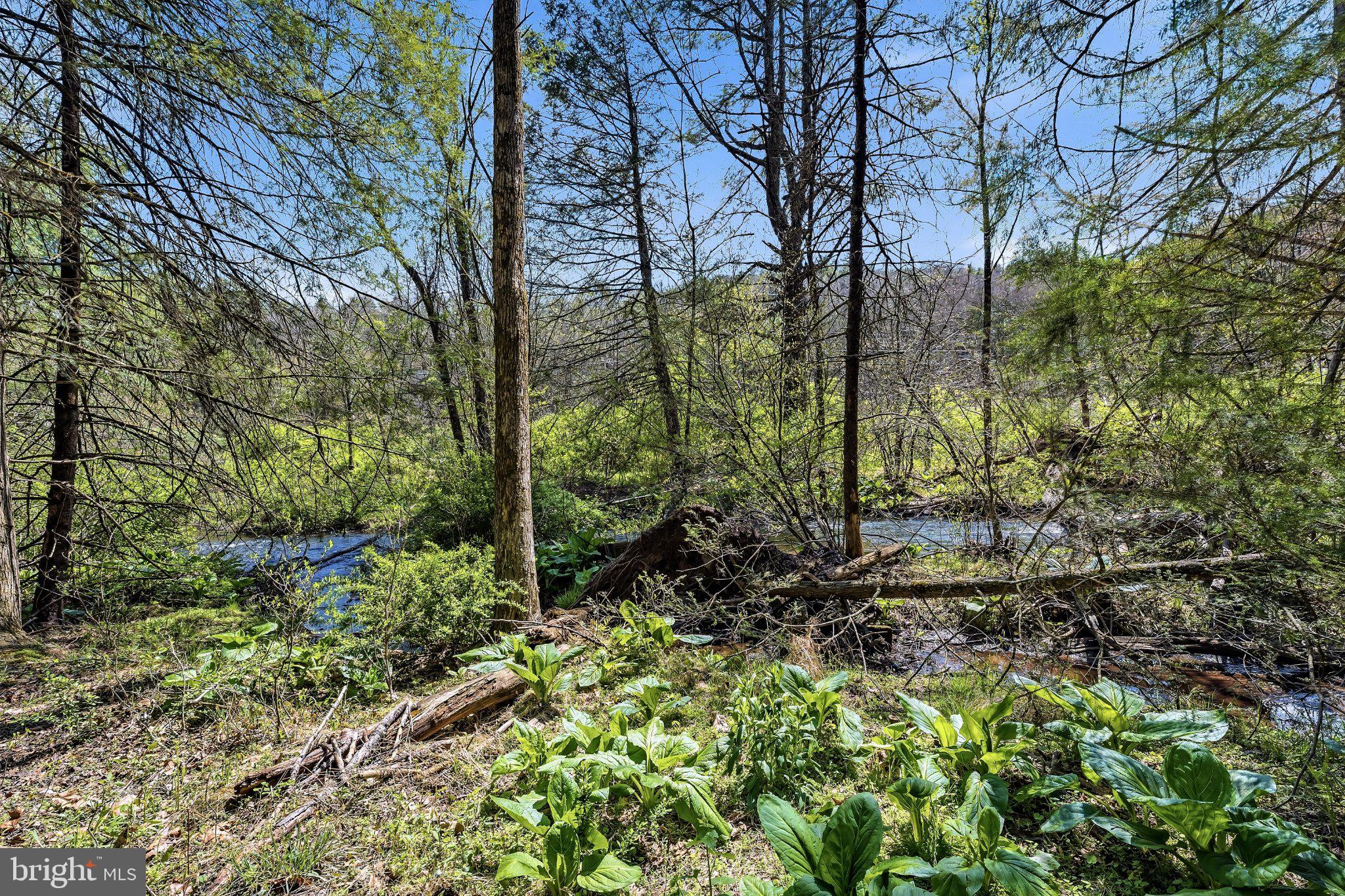 216 MERWINSBURG ROAD