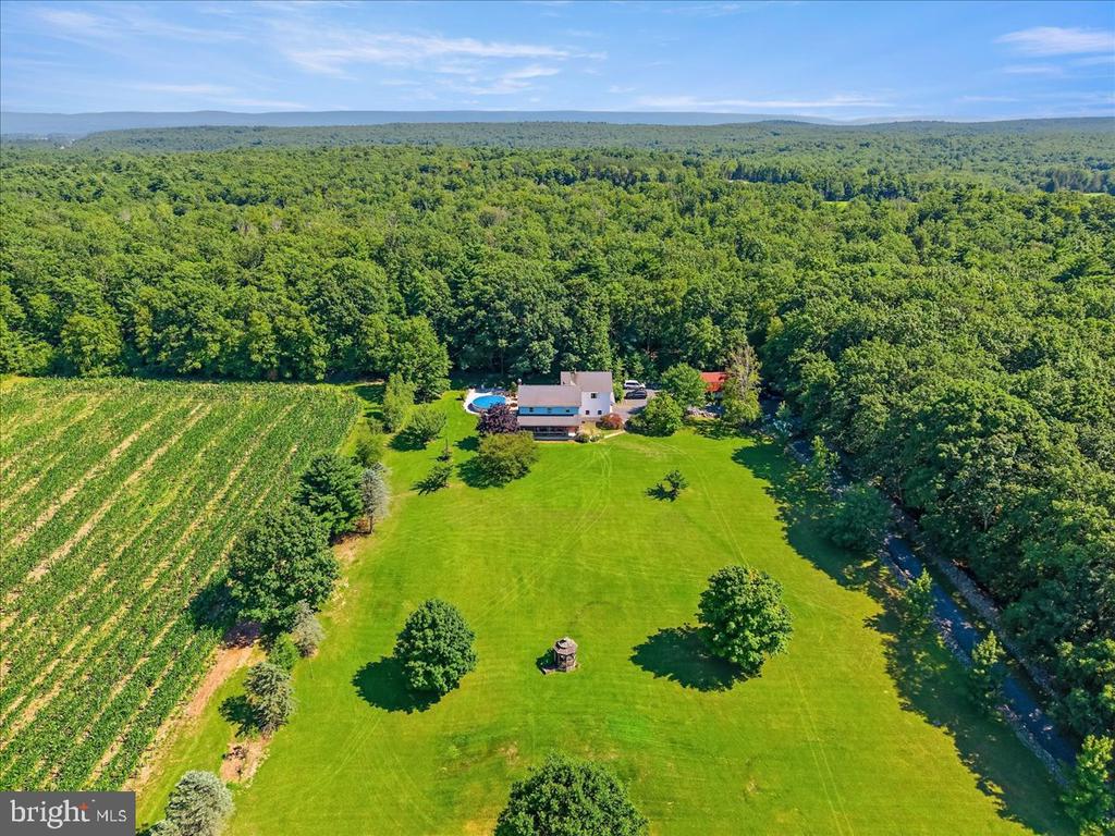 163 MULBERRY LANE