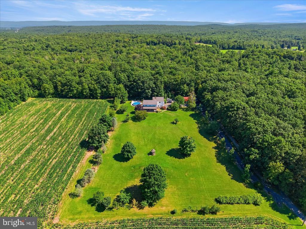 163 MULBERRY LANE