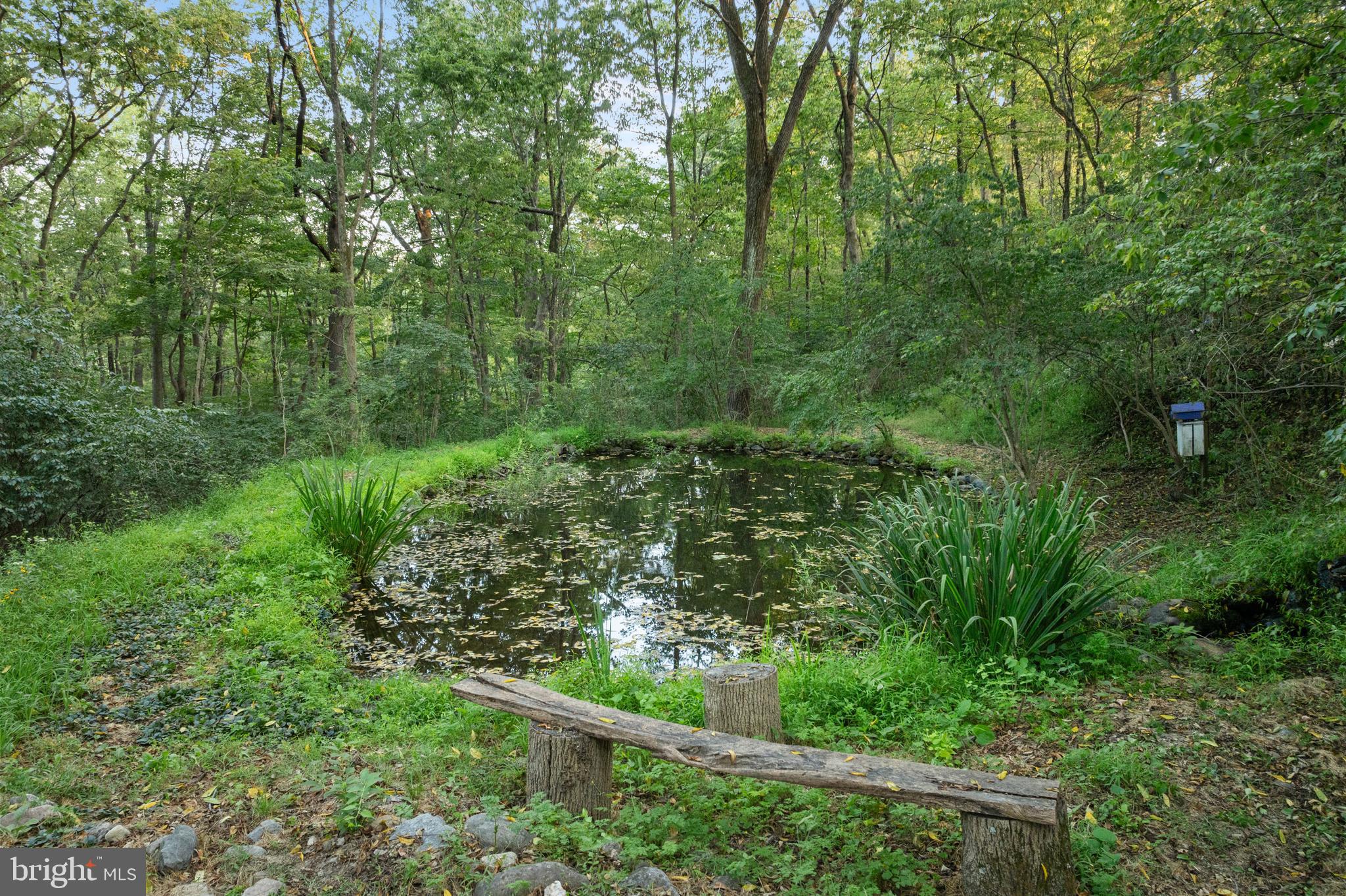 EO LITTLE CREEK ROAD