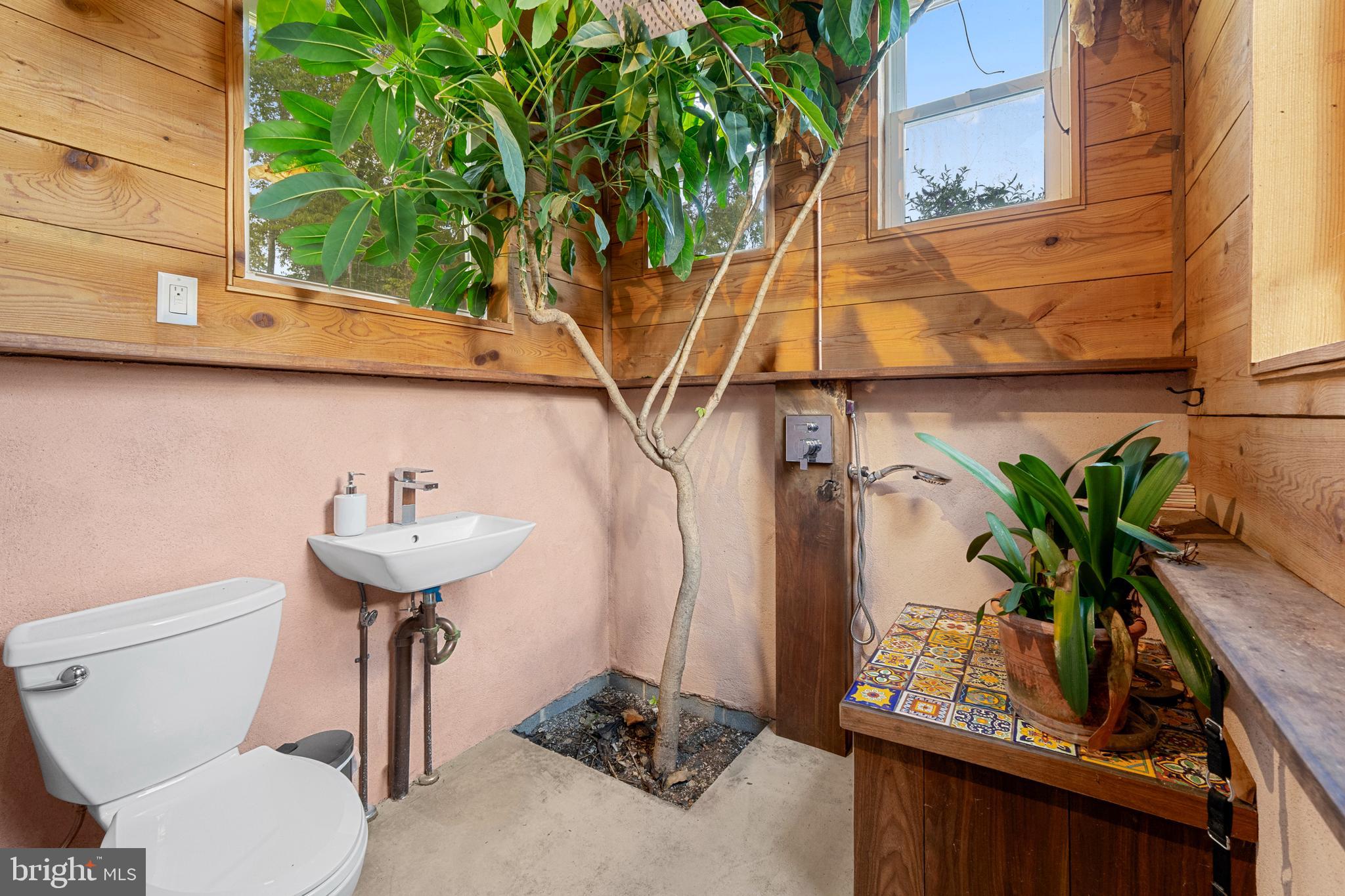 EO LITTLE CREEK ROAD