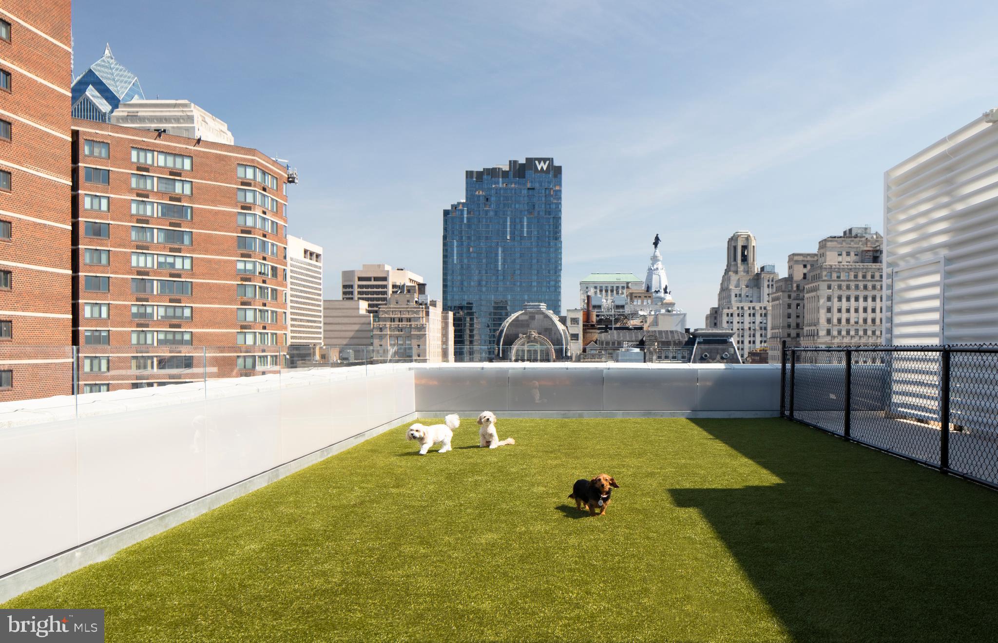 1401 SPRUCE STREET Unit: PHA