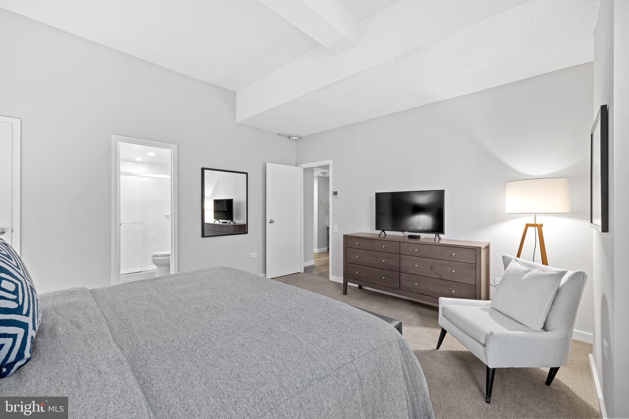 834 Chestnut Street St Unit: PH109