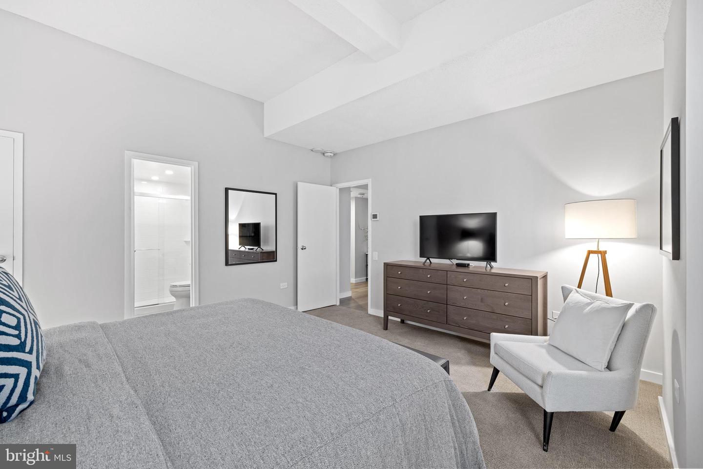 834 Chestnut Street St Unit: PH109