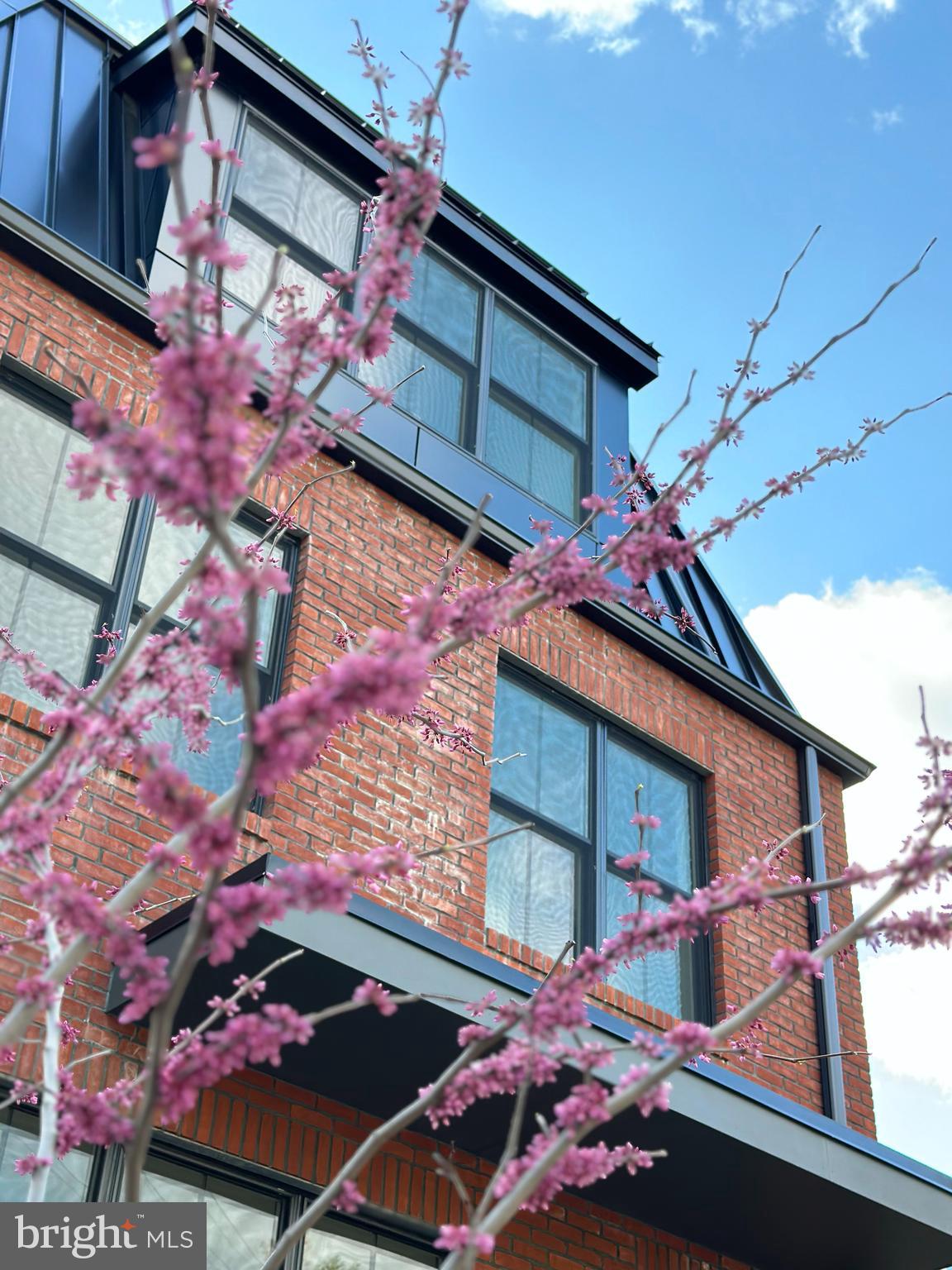 112 Righter St | RIGHTER HAUS COLLECTIVE