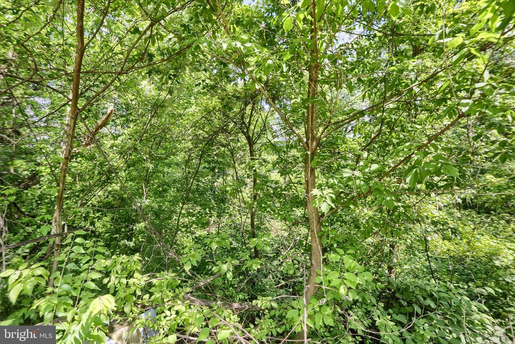 SUSQUEHANNA TRAIL