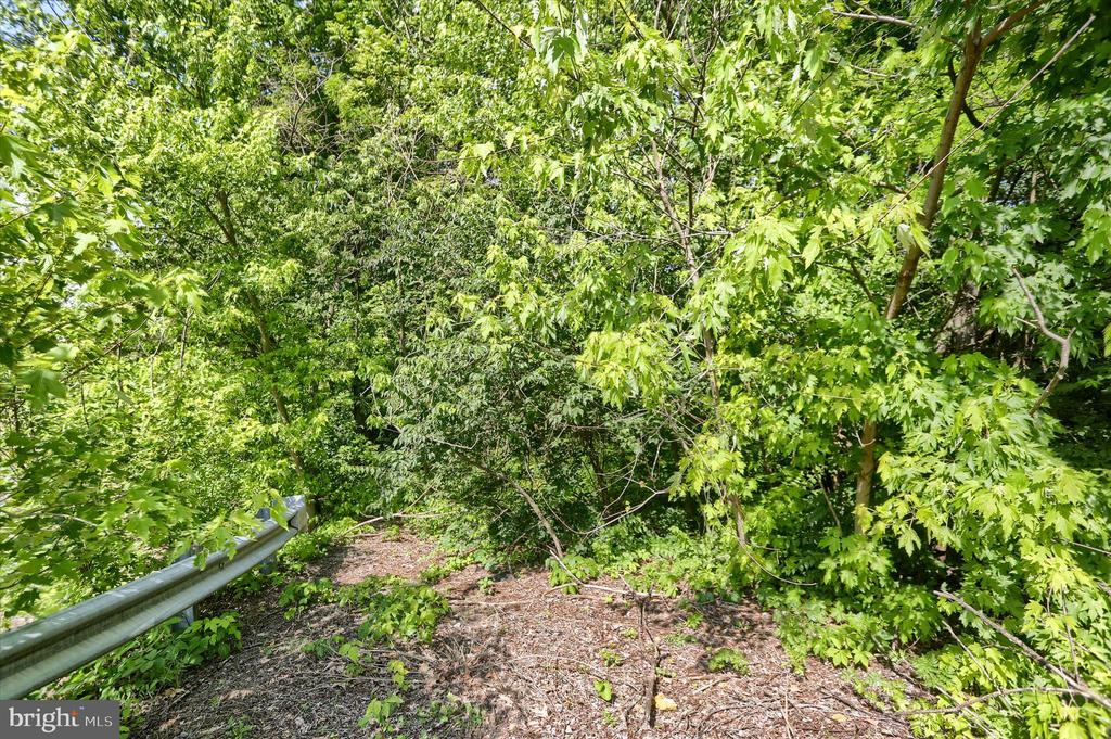SUSQUEHANNA TRAIL