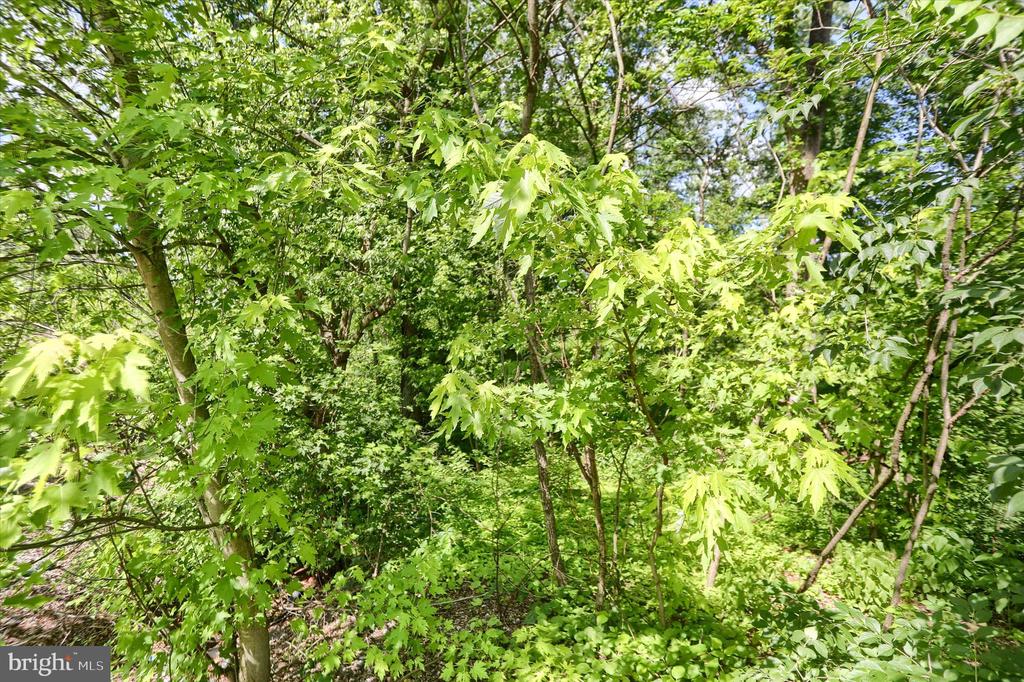 SUSQUEHANNA TRAIL
