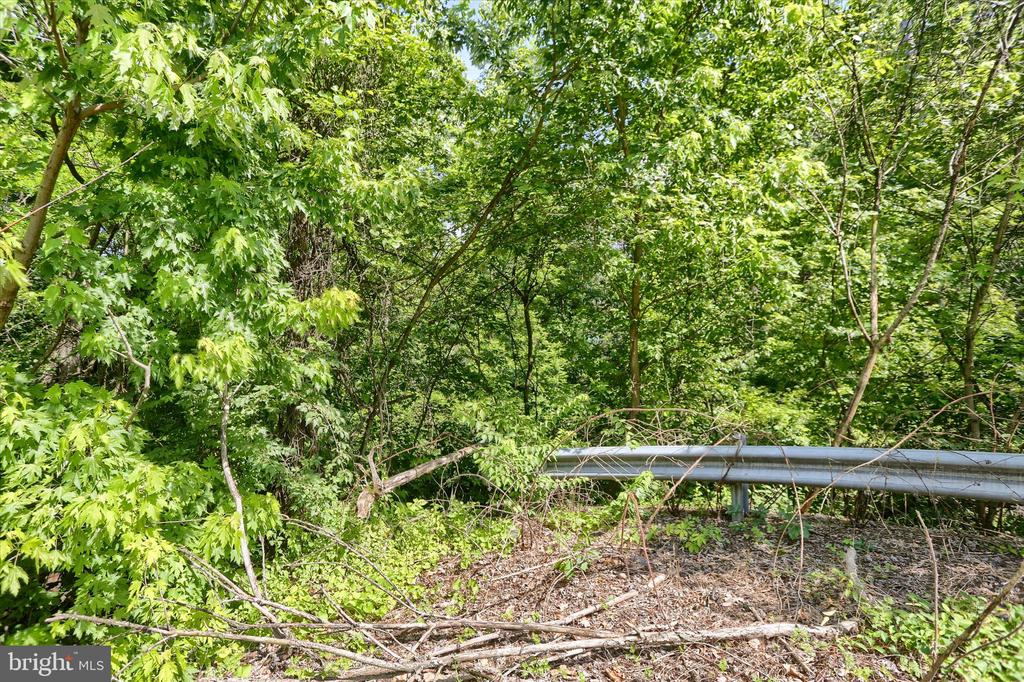 SUSQUEHANNA TRAIL