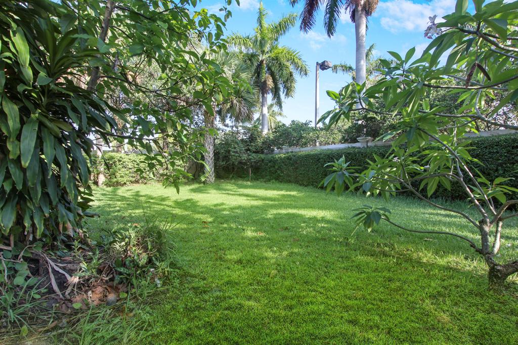 313 Sandtree Drive