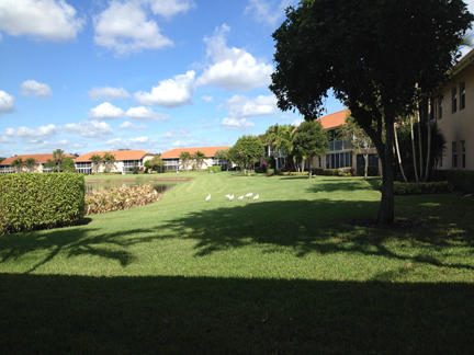 9989 Harbour Lake Circle Unit: 102