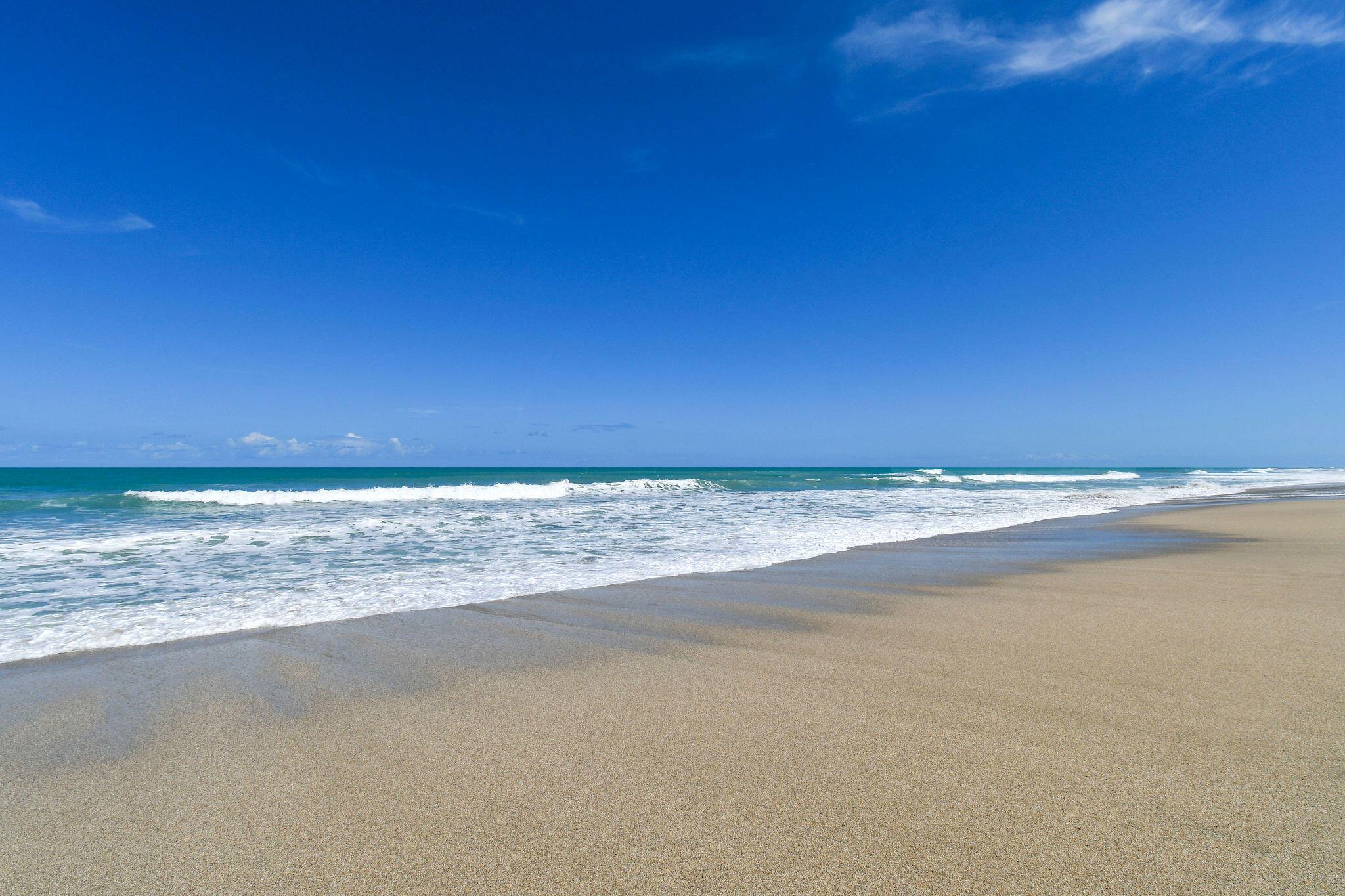 9900 S Ocean Drive Unit: 1403