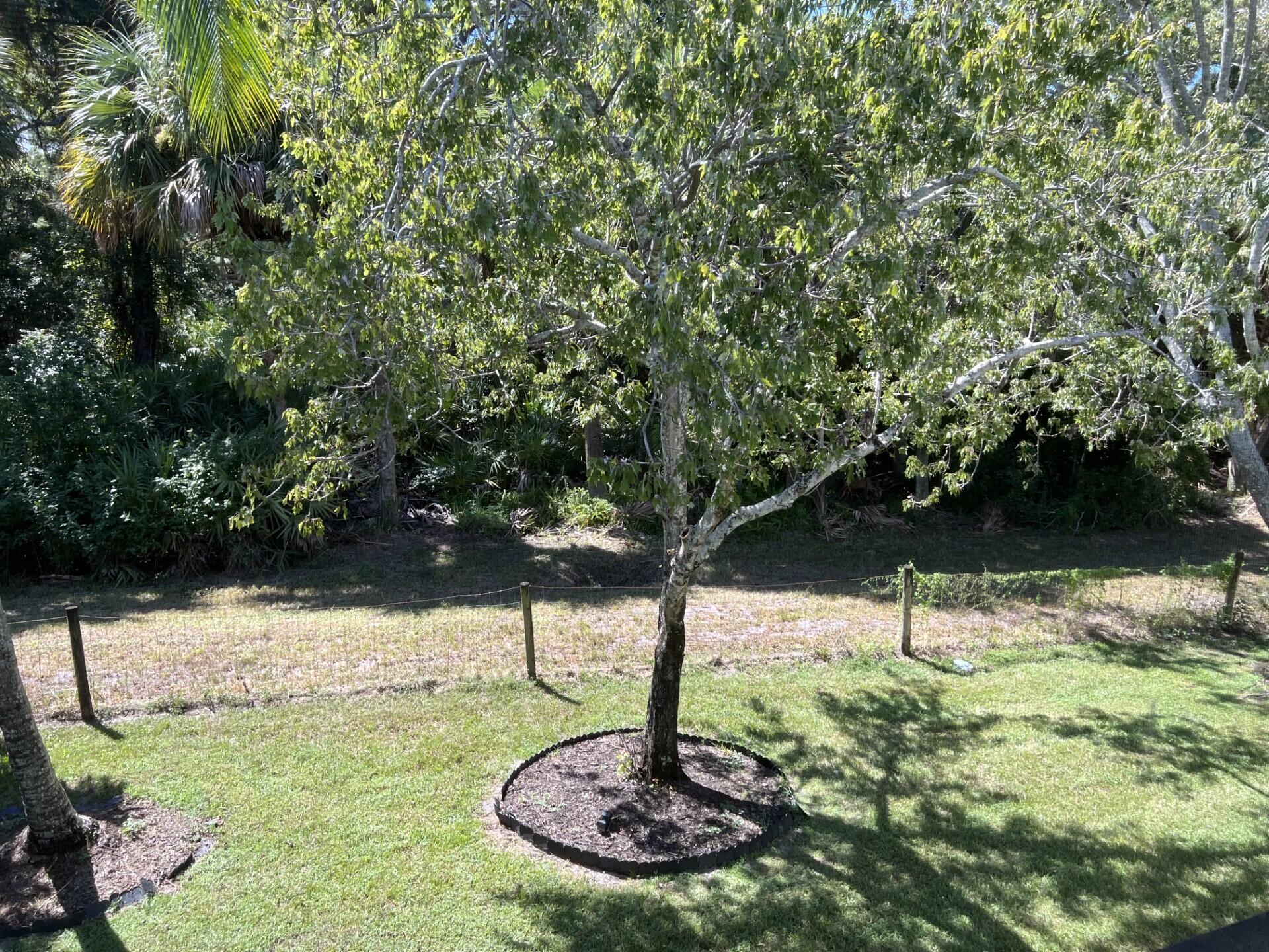 1601 Sabal Ridge Circle 16-F