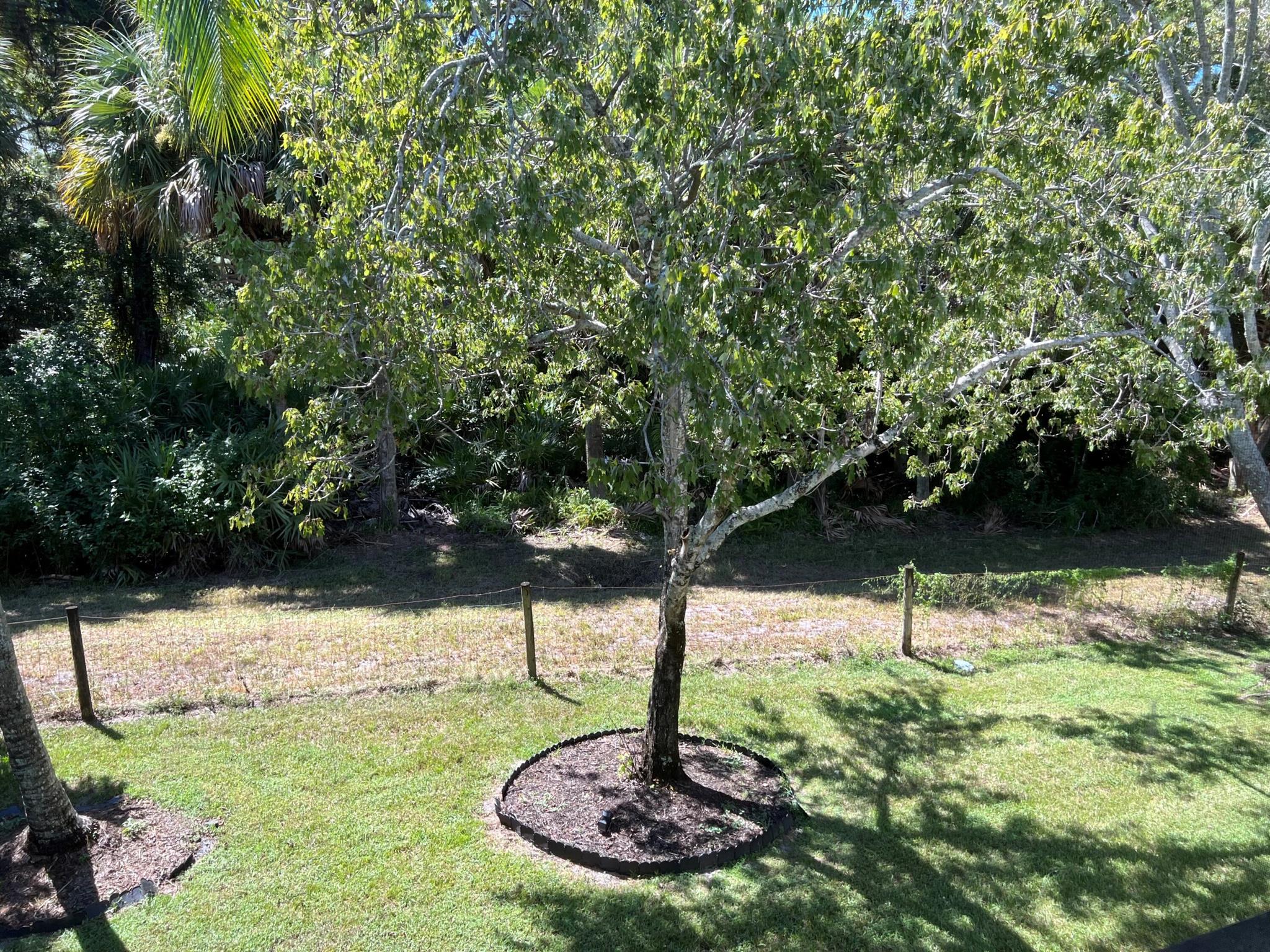 1601 Sabal Ridge Circle 16-F