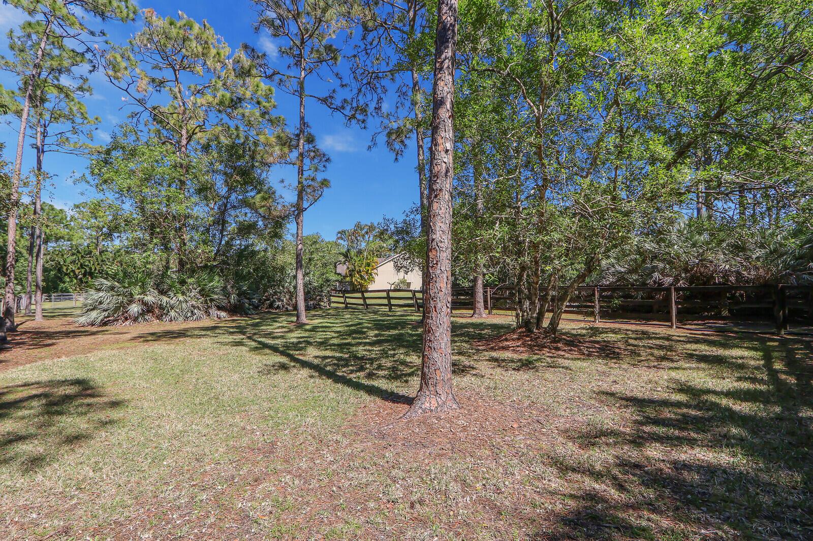 15595 Mellen Lane