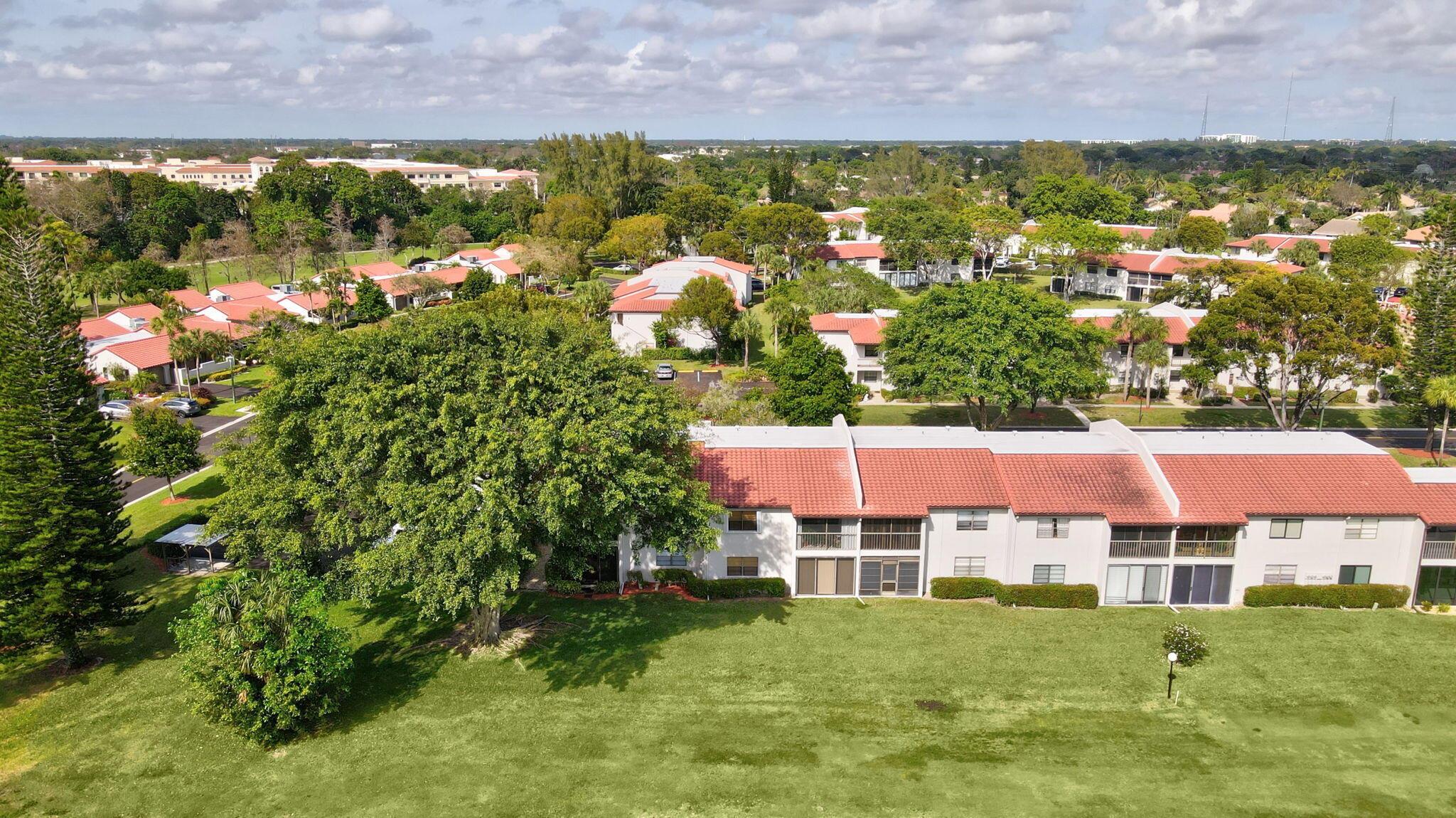 21365 Cypress Hammock 20l