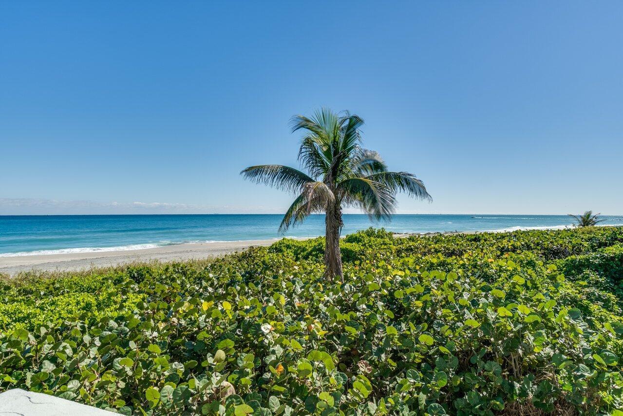 700 S Ocean Boulevard 504