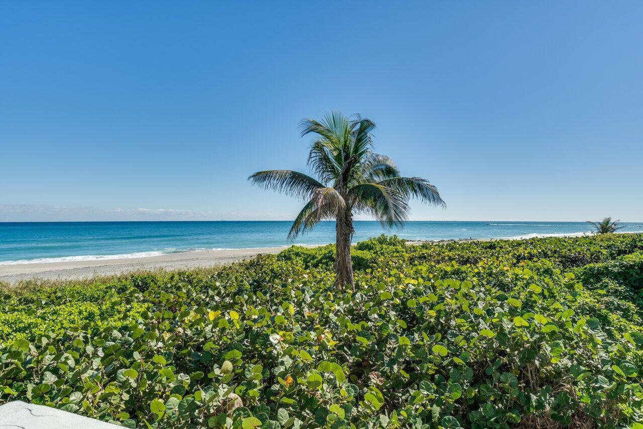 700 S Ocean Boulevard 504