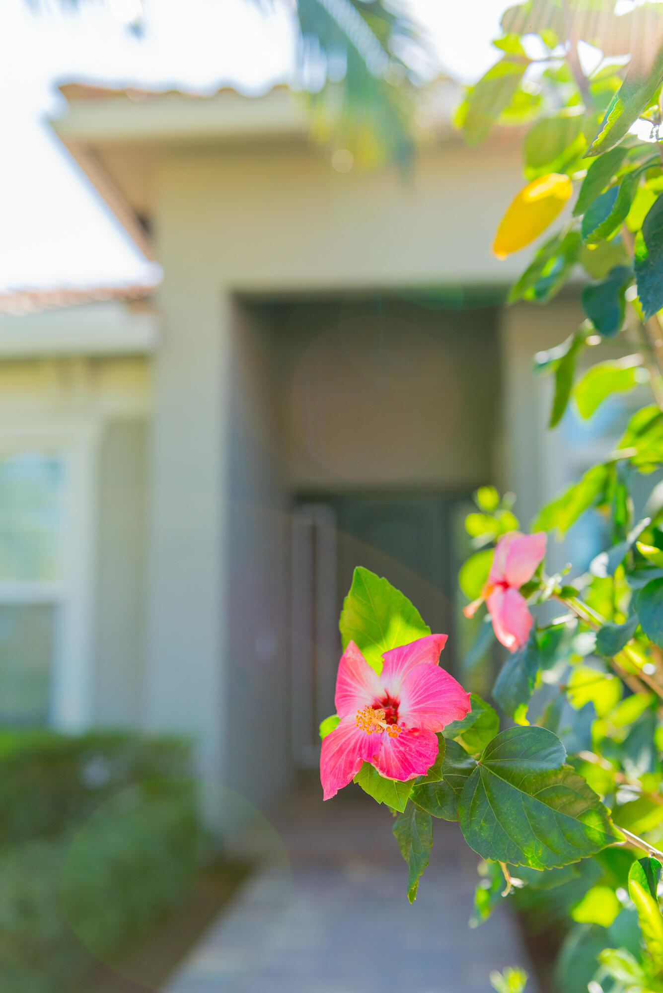 6447 SW Key Deer Lane