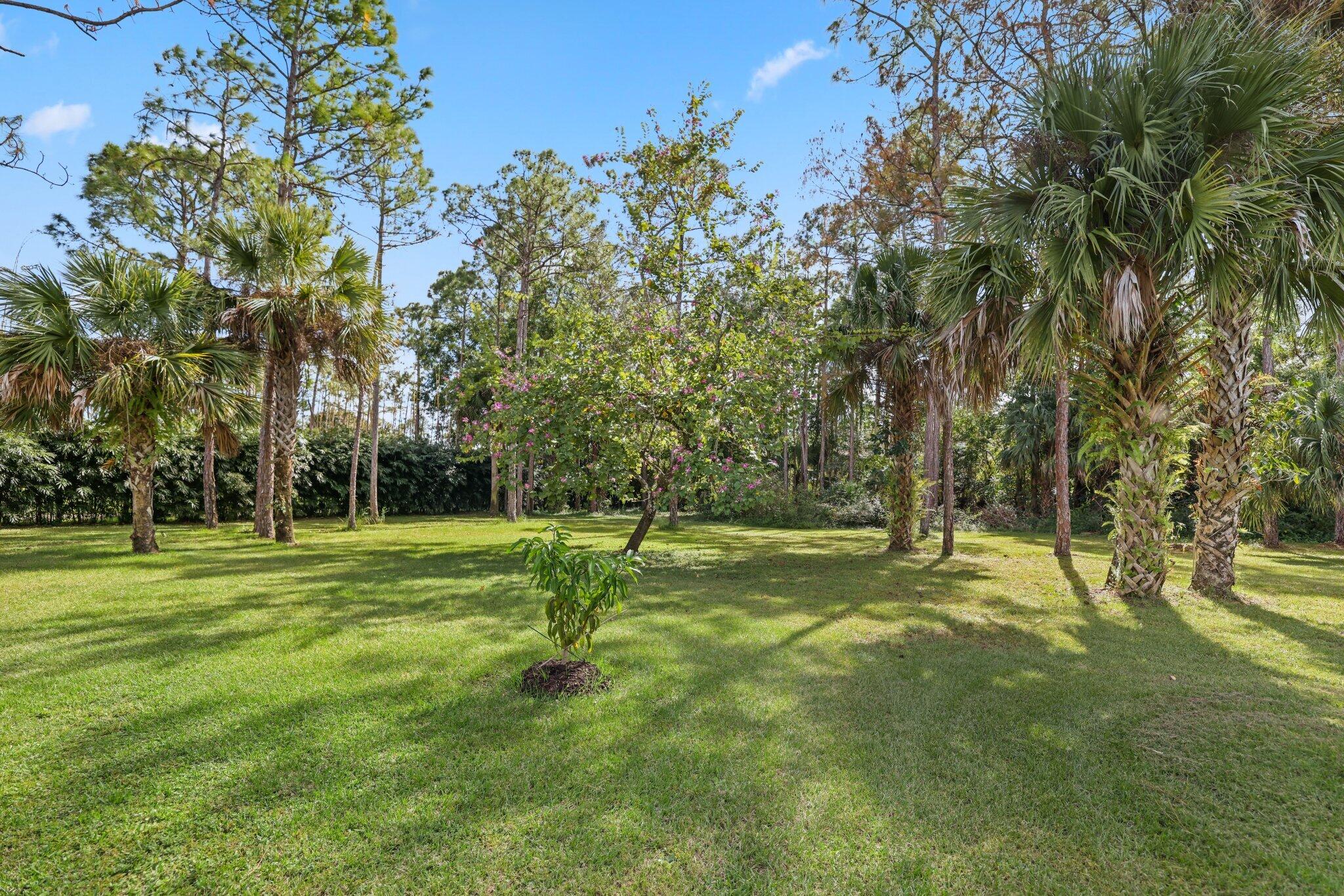 17848 118th Trail N