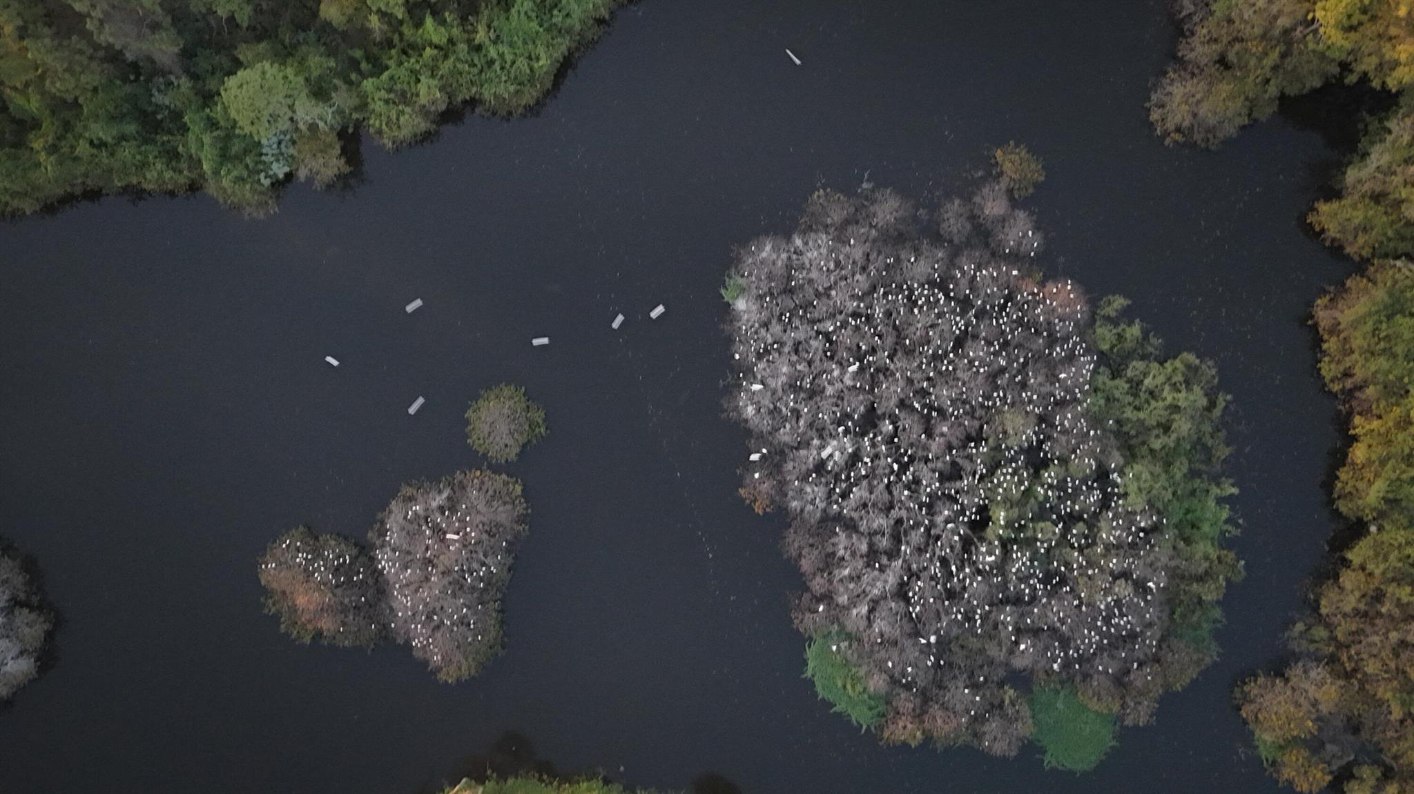 1515 NW Lancewood Terrace