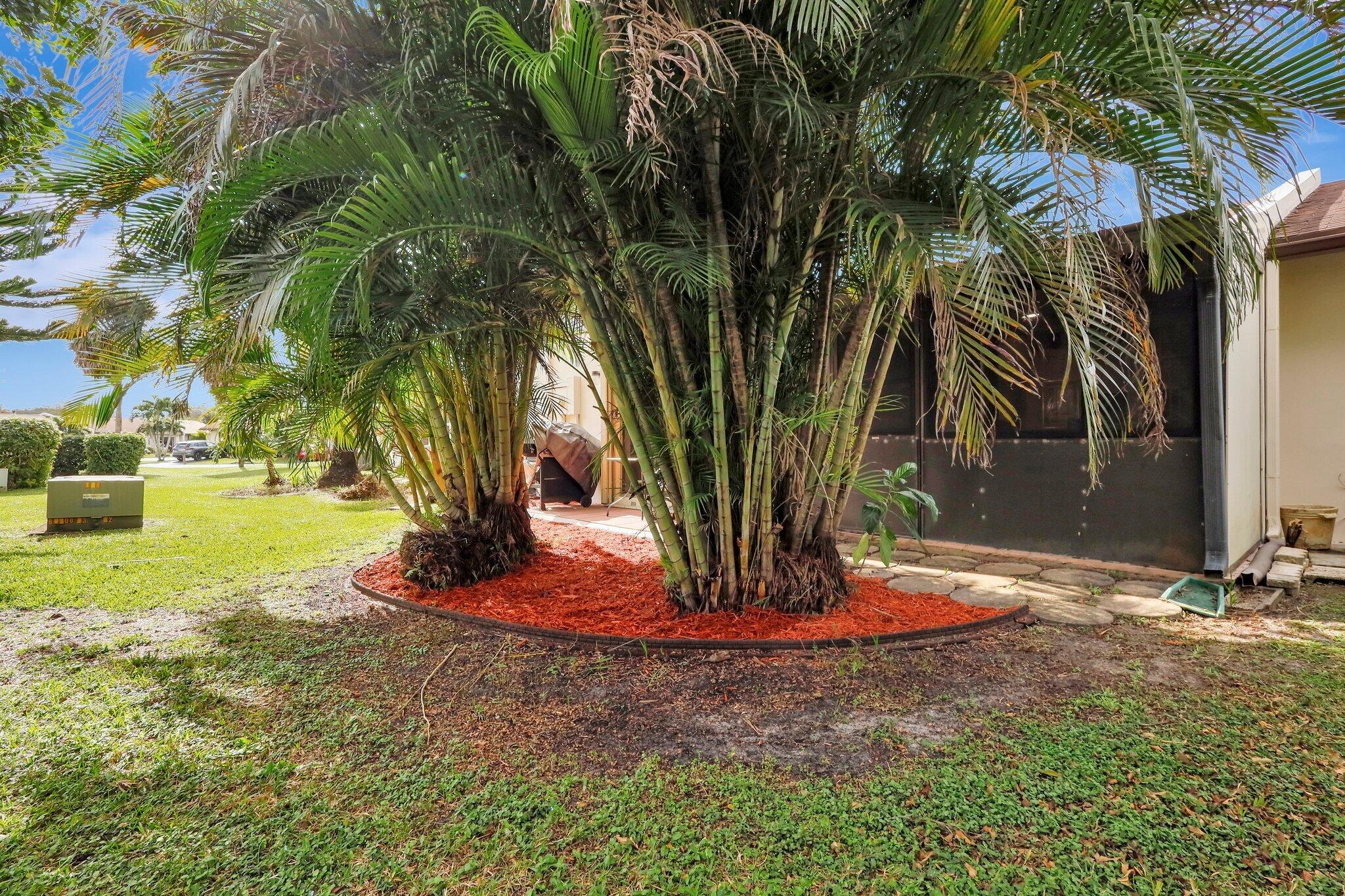 5093 Bottlebrush Street