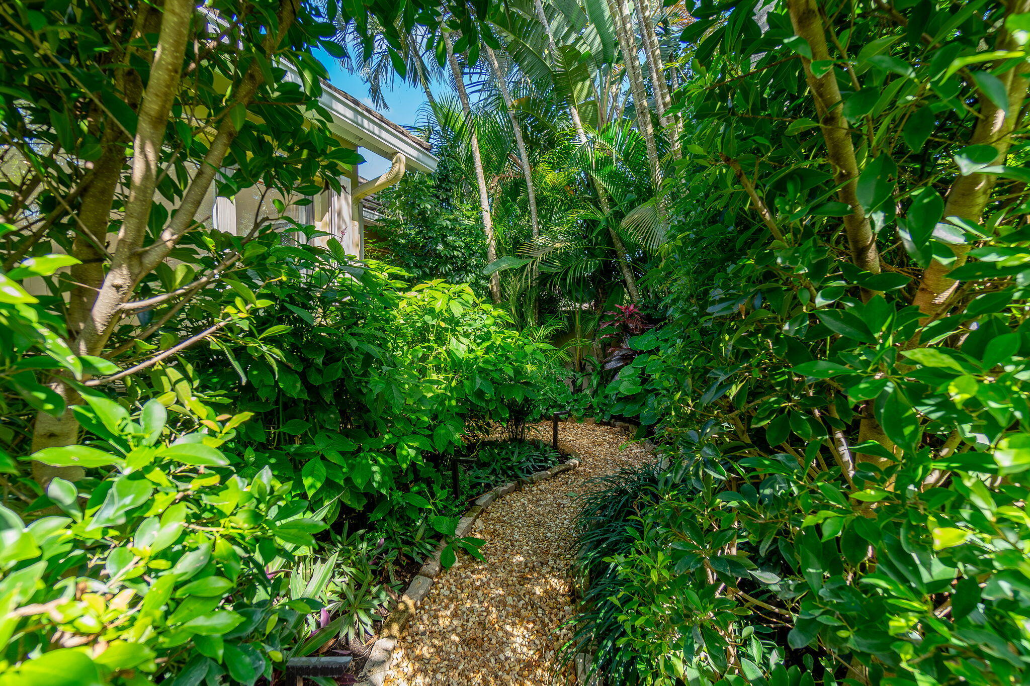 11967 Polo Club Road