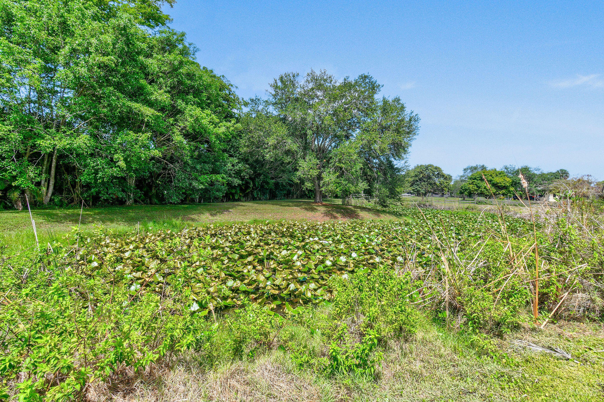 11151 88th Road N