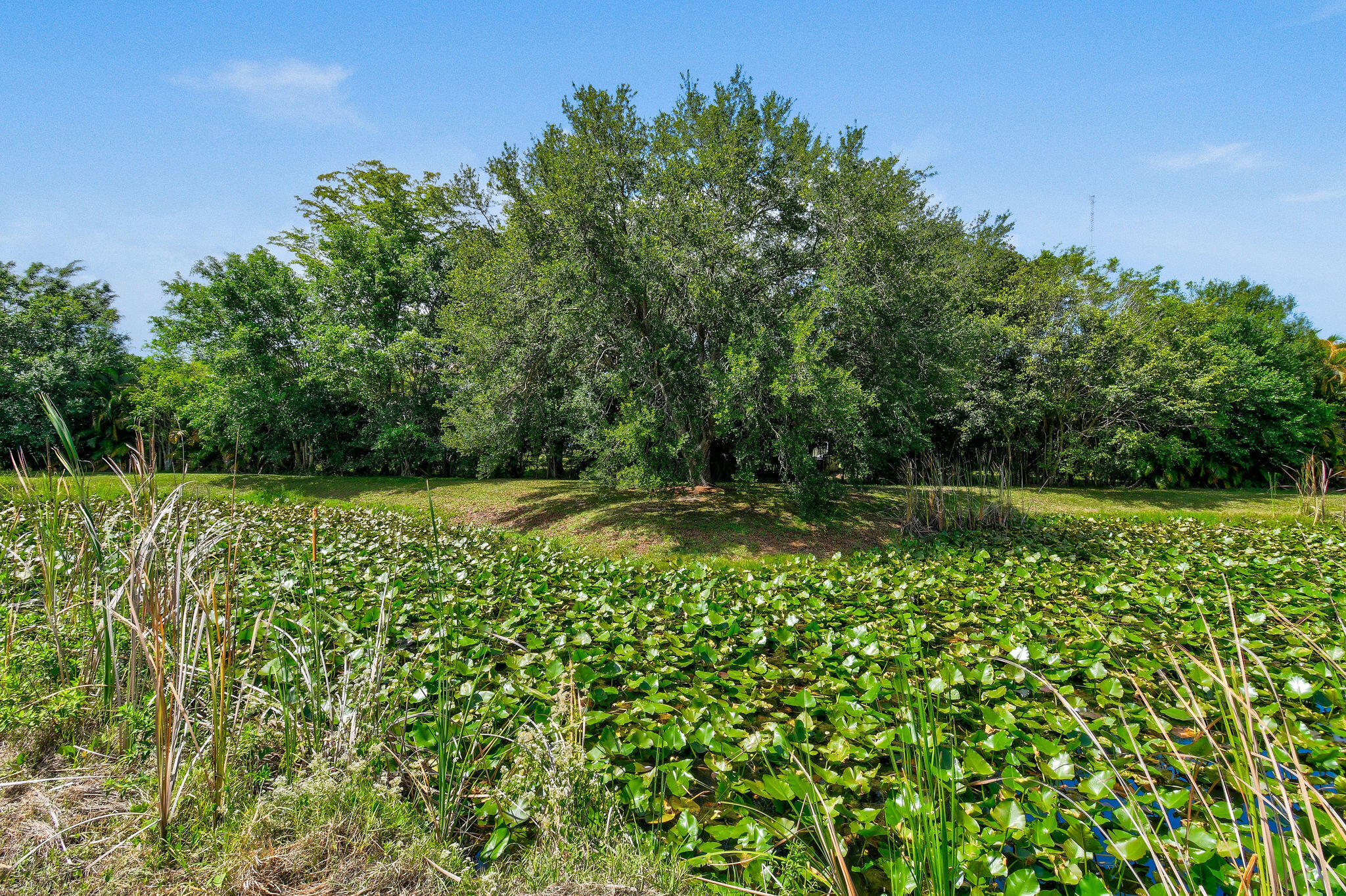 11151 88th Road N