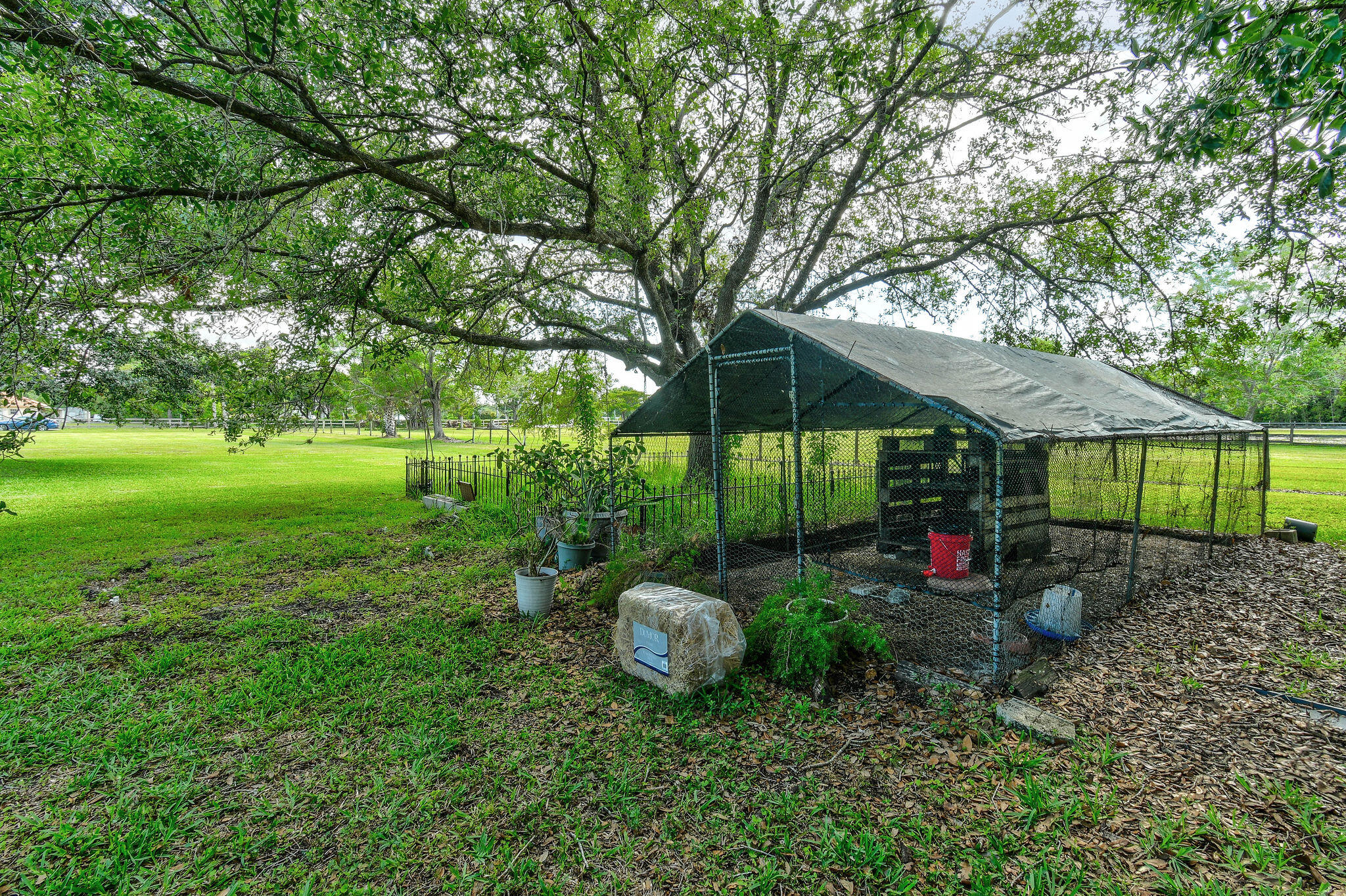 11151 88th Road N