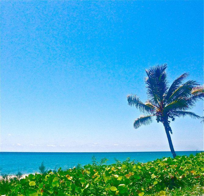 3101 S Ocean 402 Boulevard 402