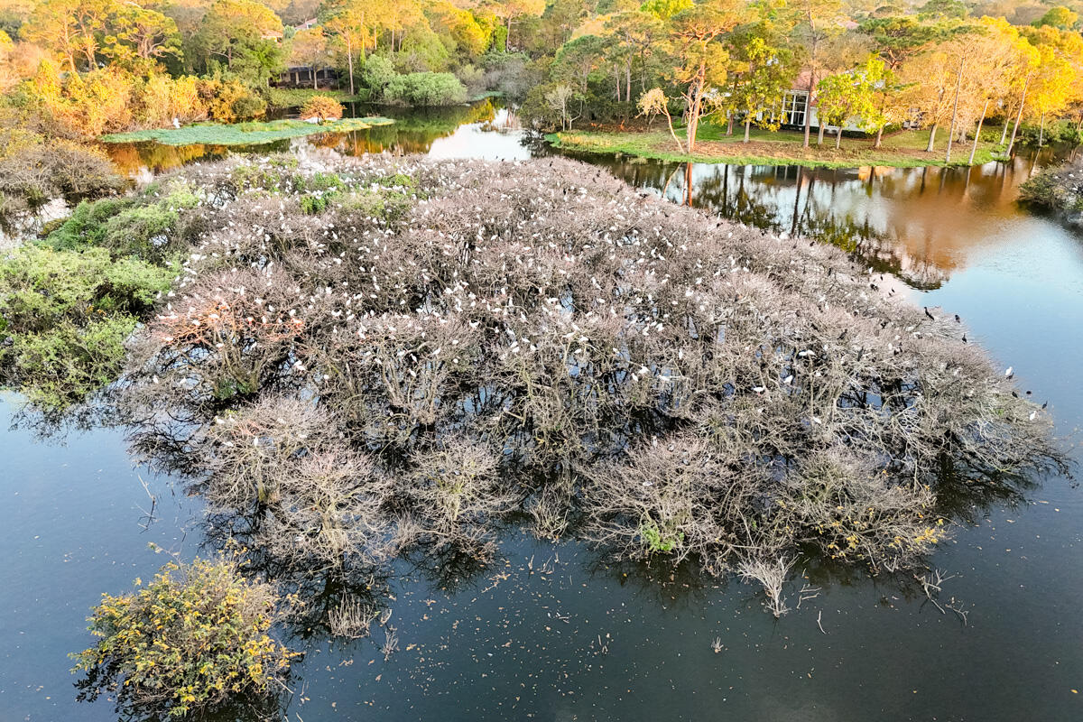 13312 NW Maplewood Road