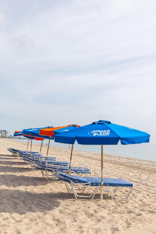 3837 NE 16th Terrace