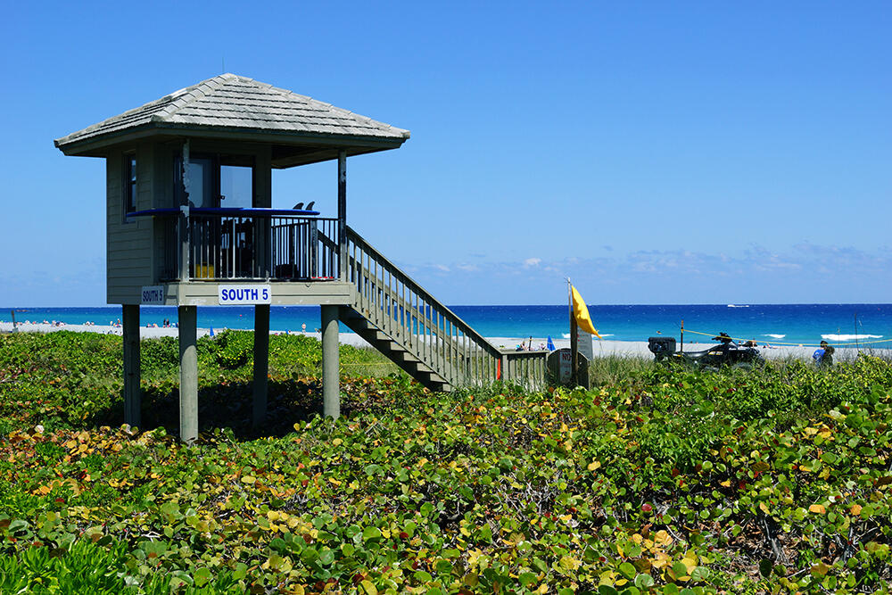 1745 Palm Cove Boulevard 3-101