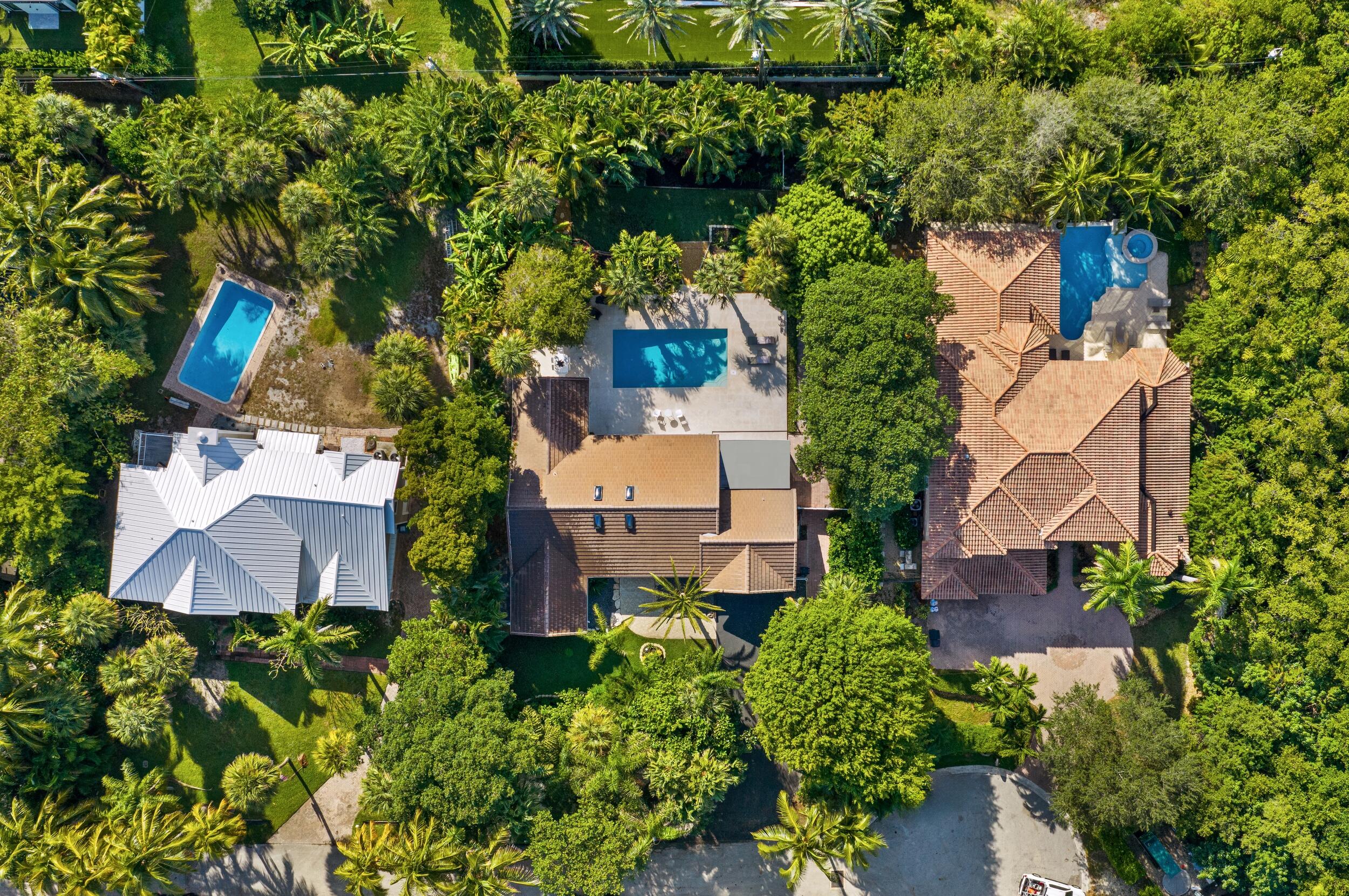 41 Coconut Lane