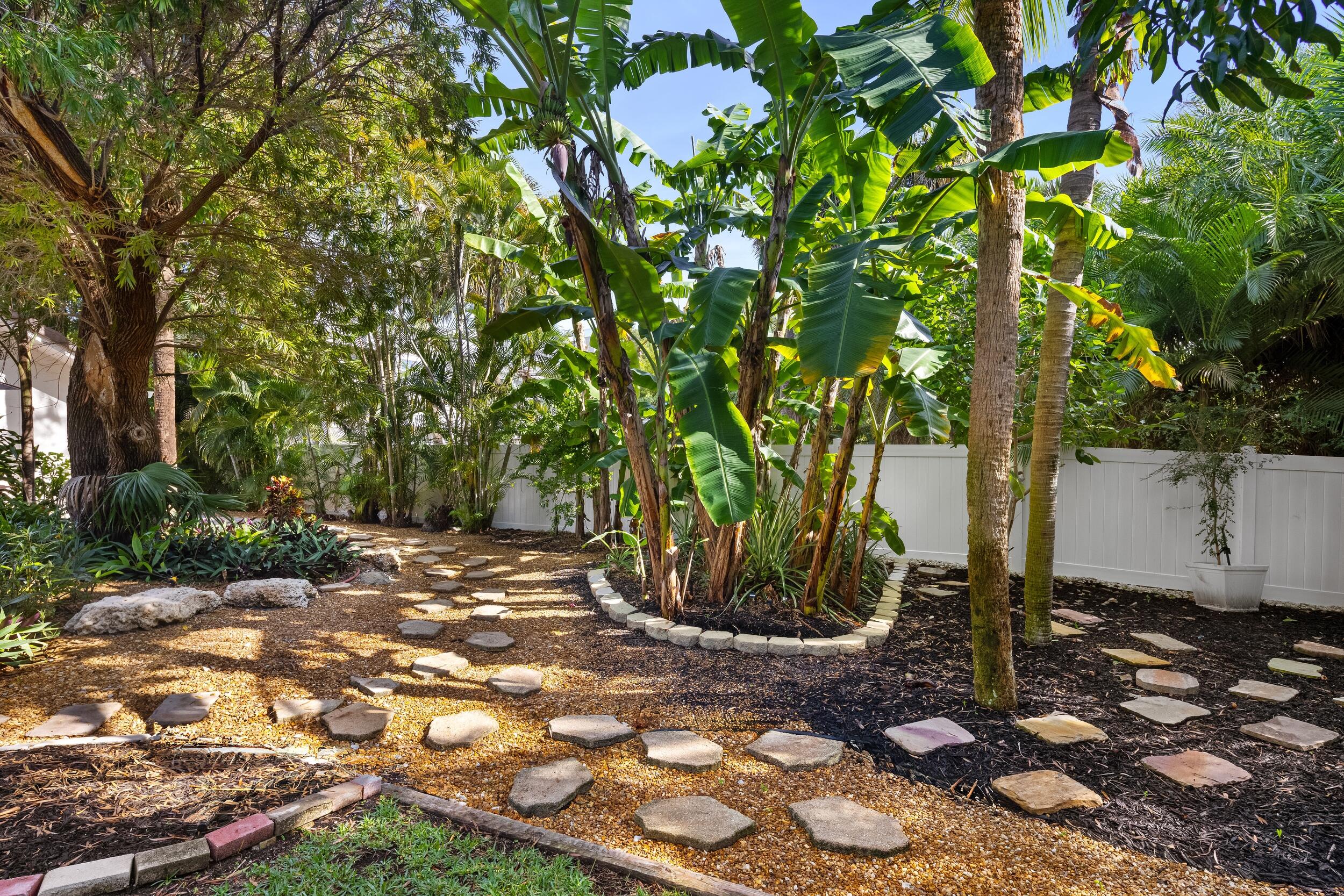41 Coconut Lane