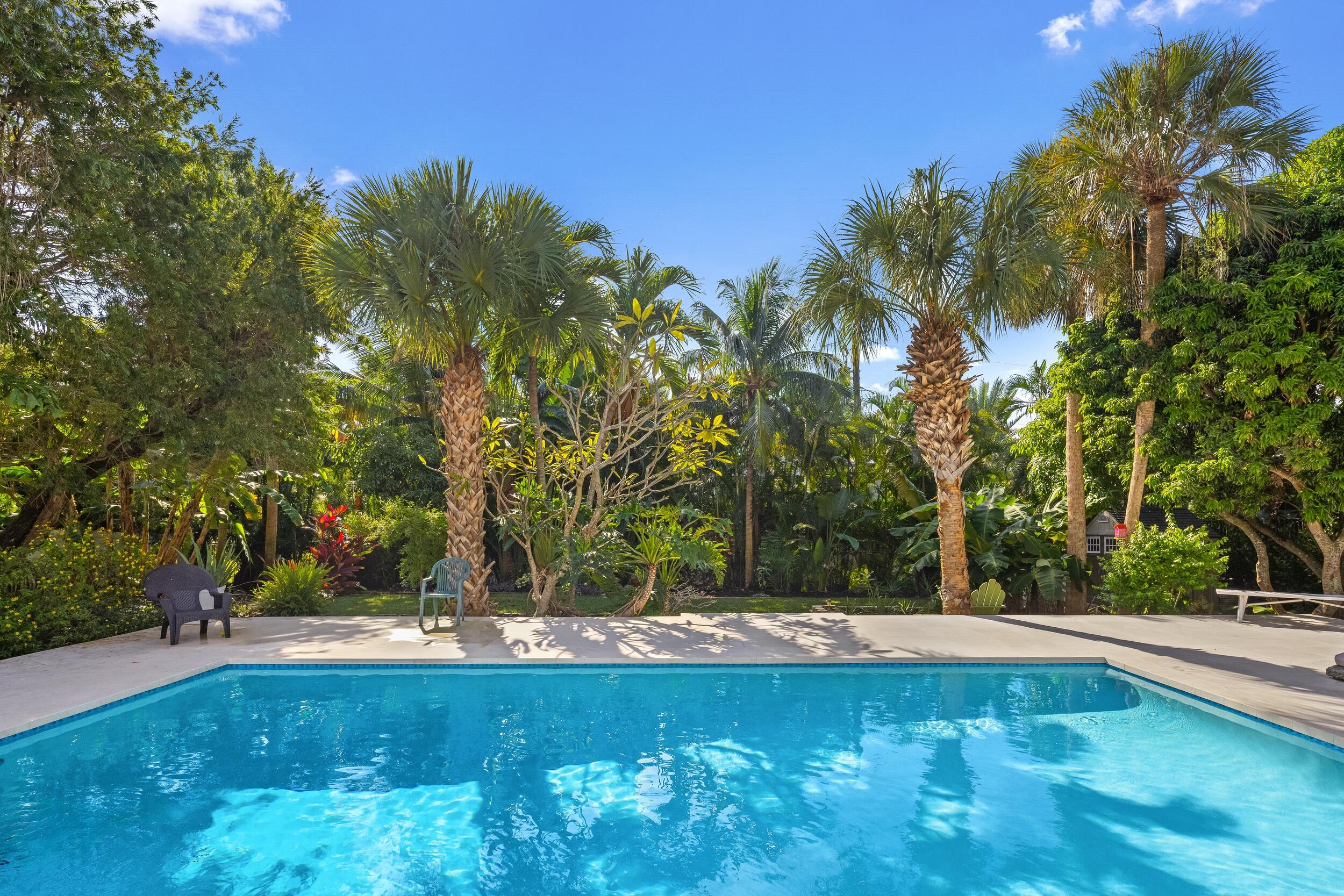 41 Coconut Lane