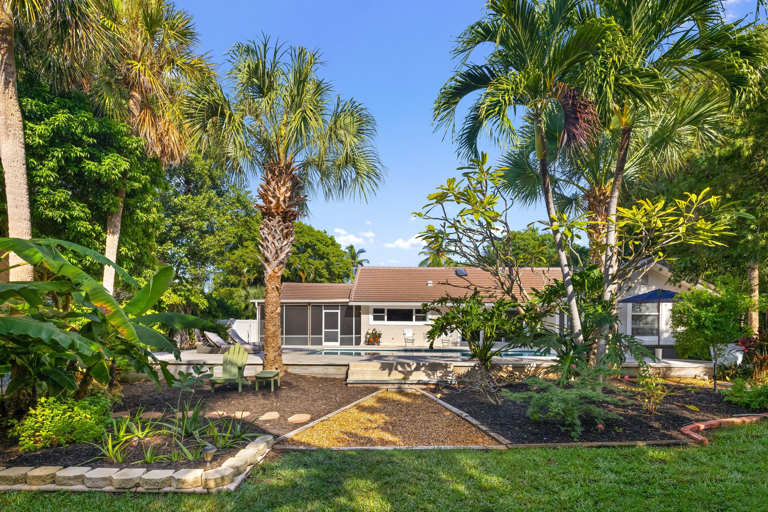 41 Coconut Lane